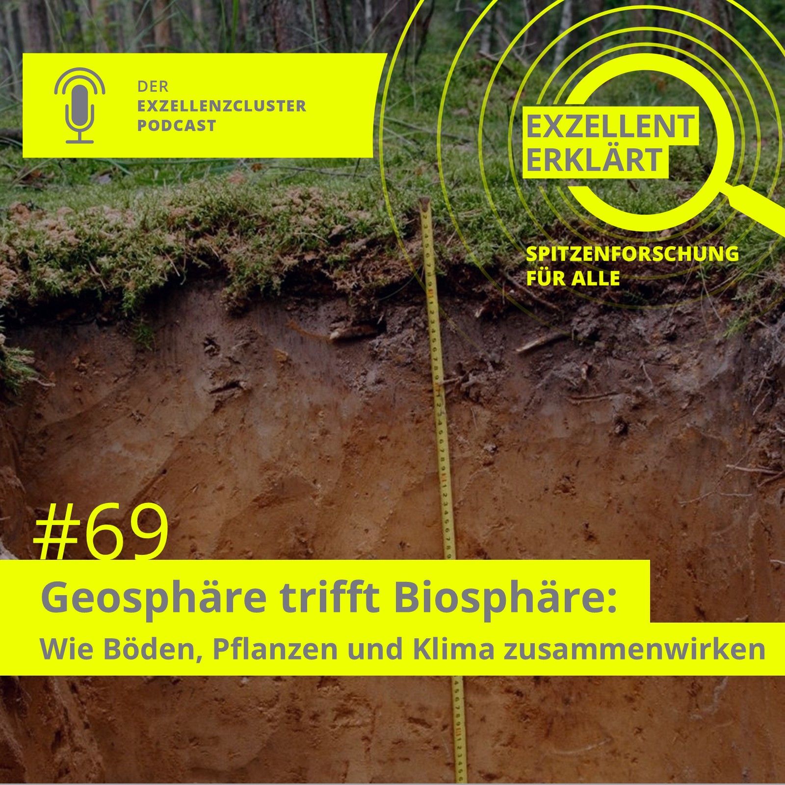 Geosphäre trifft Biosphäre: Wie Böden, Pflanzen und Klima zusammenwirken