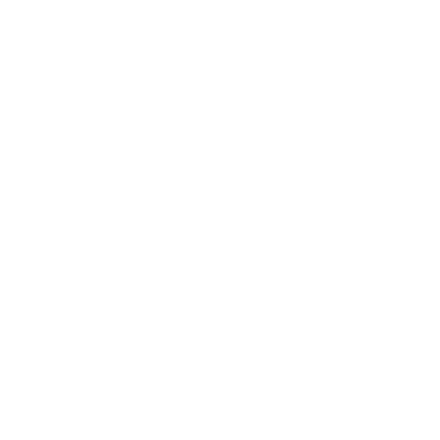 2 Fast 2 Furious
