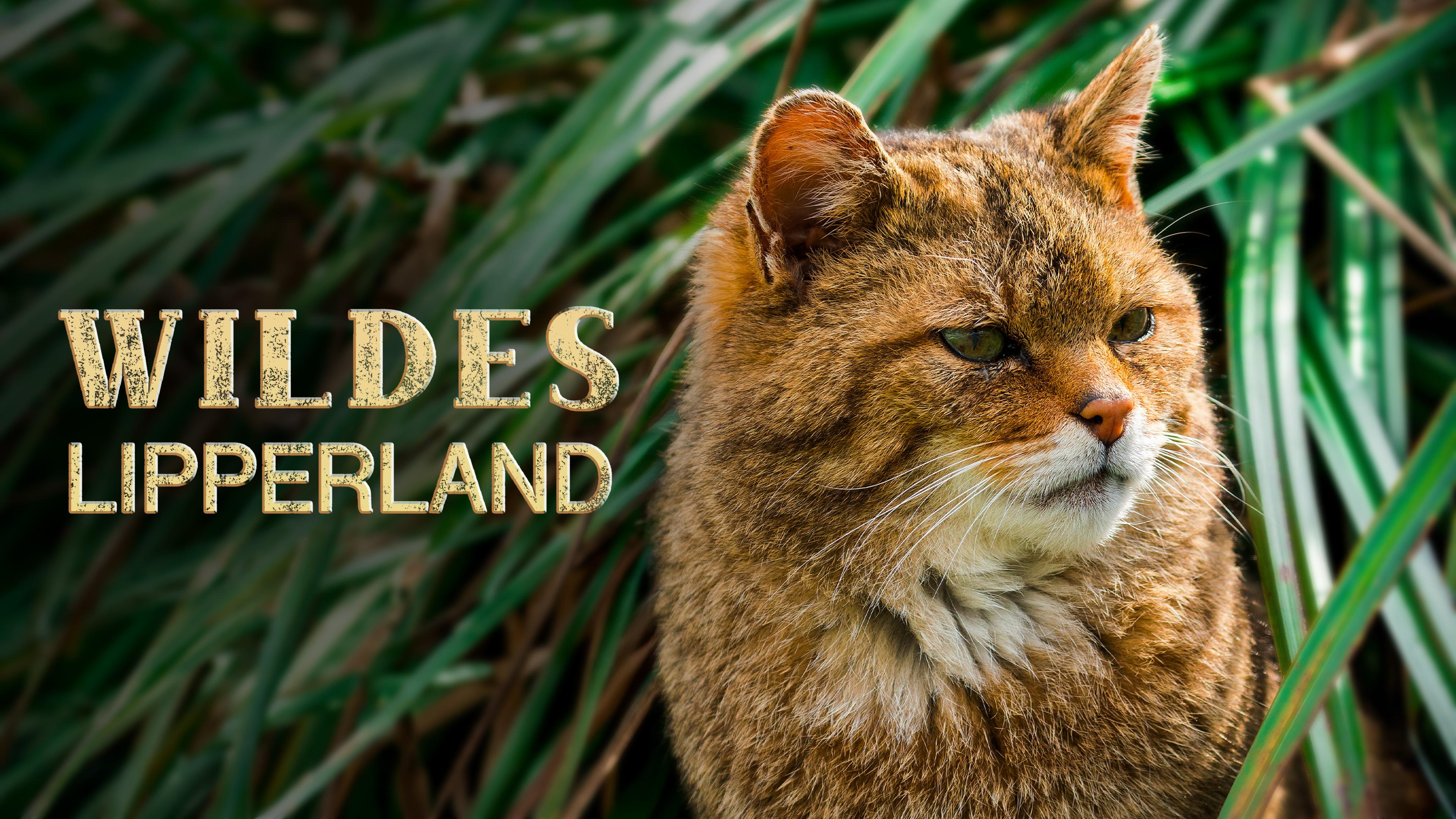 Wildes Lipperland