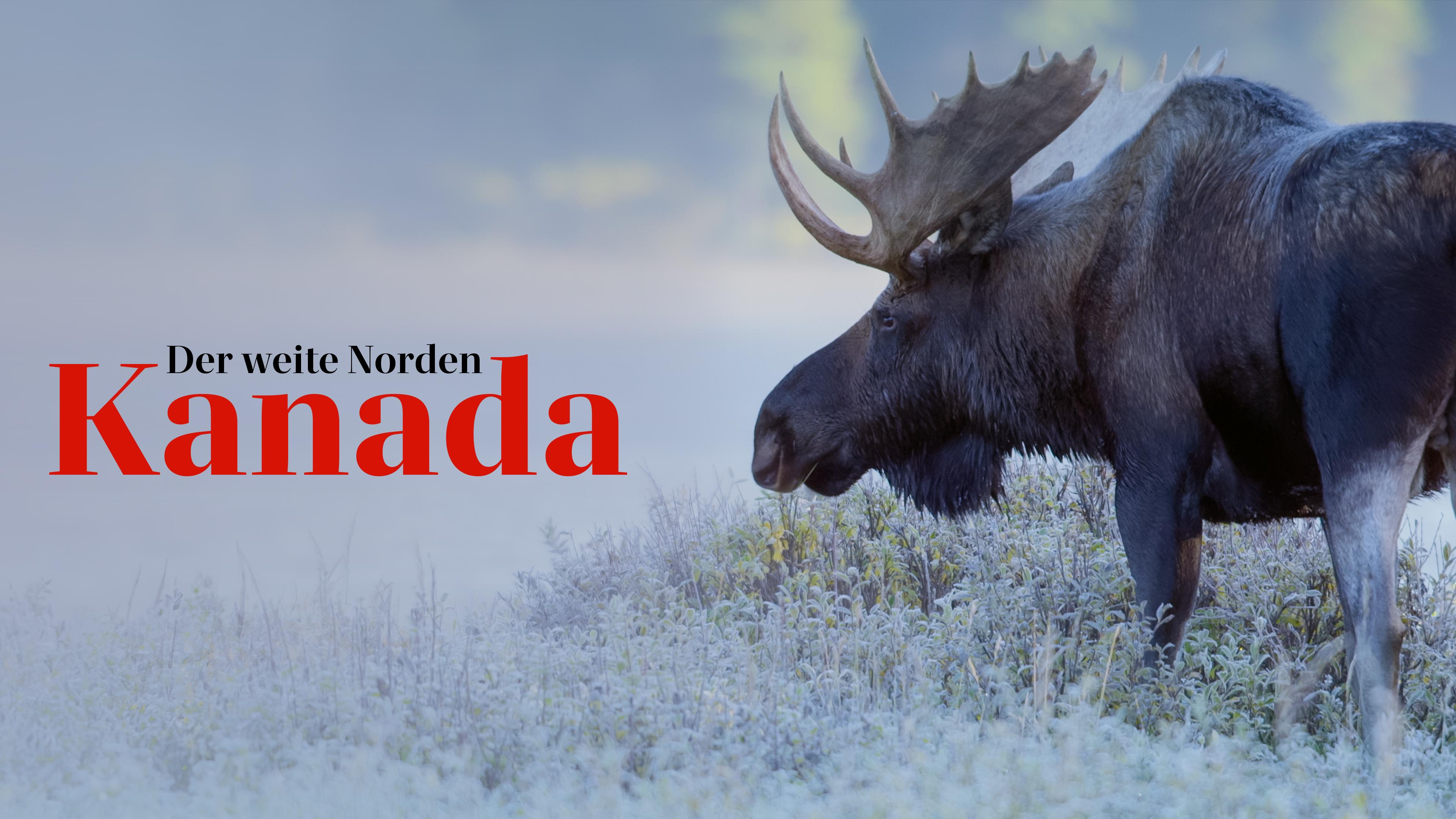 Kanada - Der weite Norden