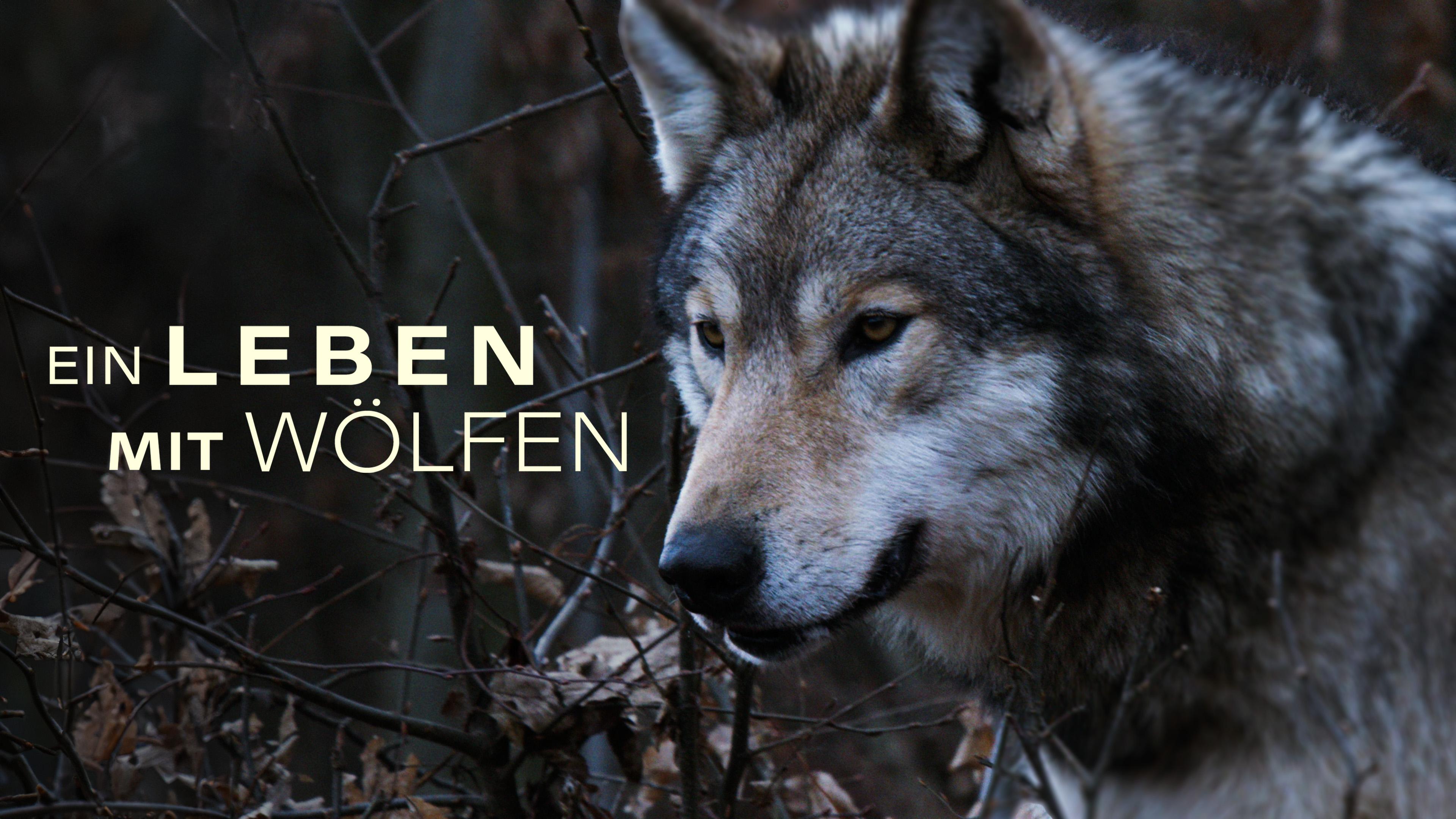 Ein Leben mit Wölfen