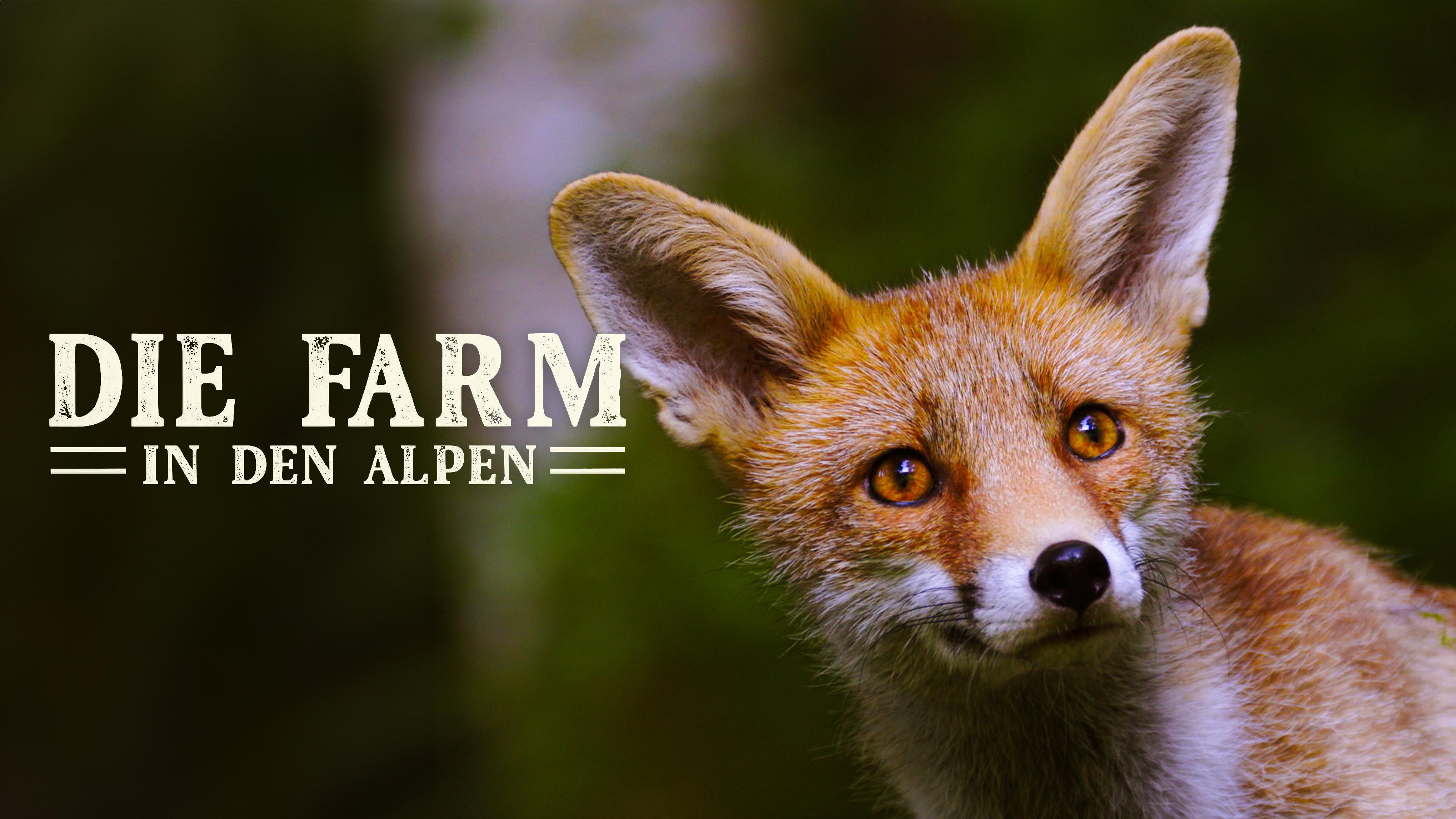 Die Farm in den Alpen