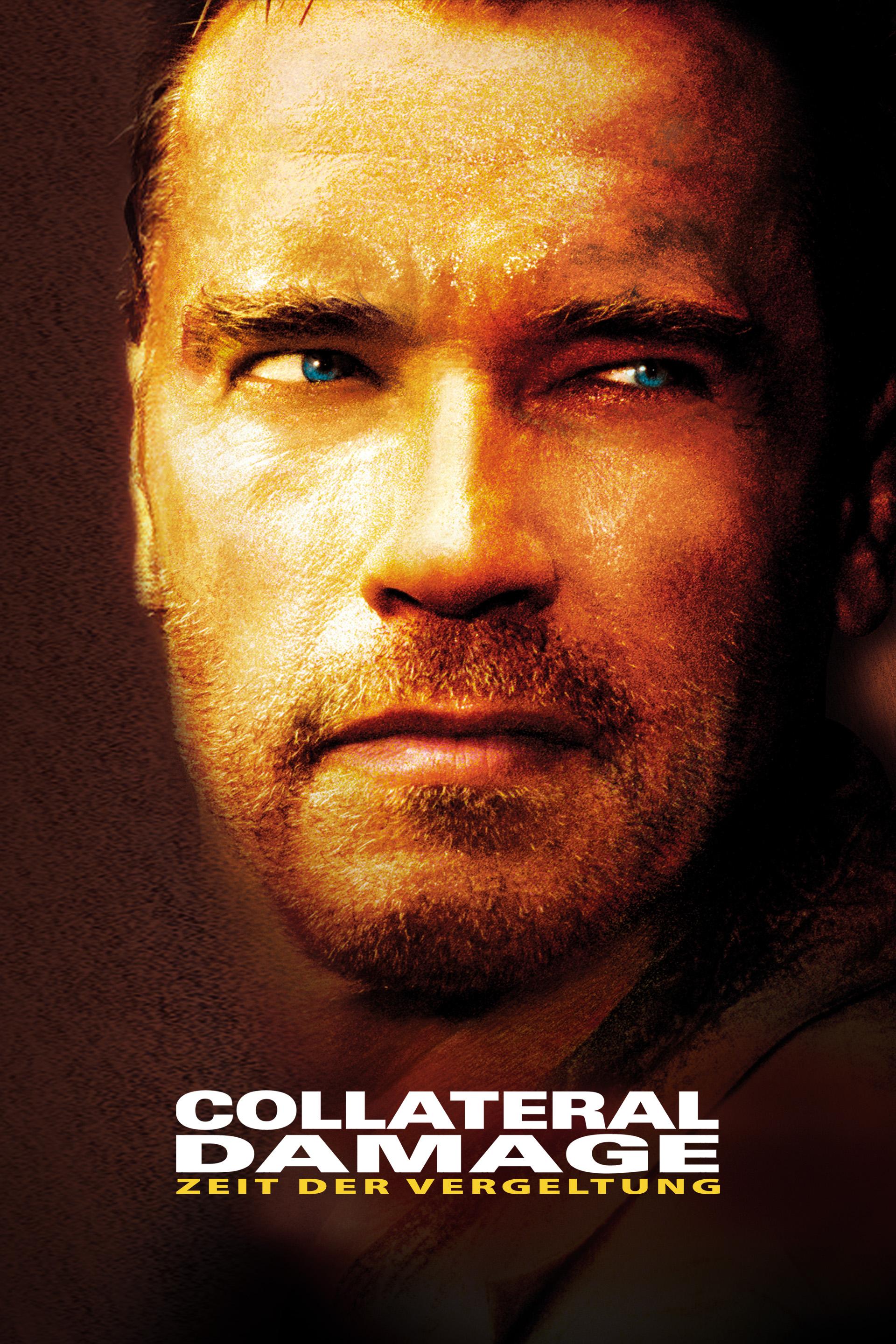 Collateral Damage - Zeit der Vergeltung