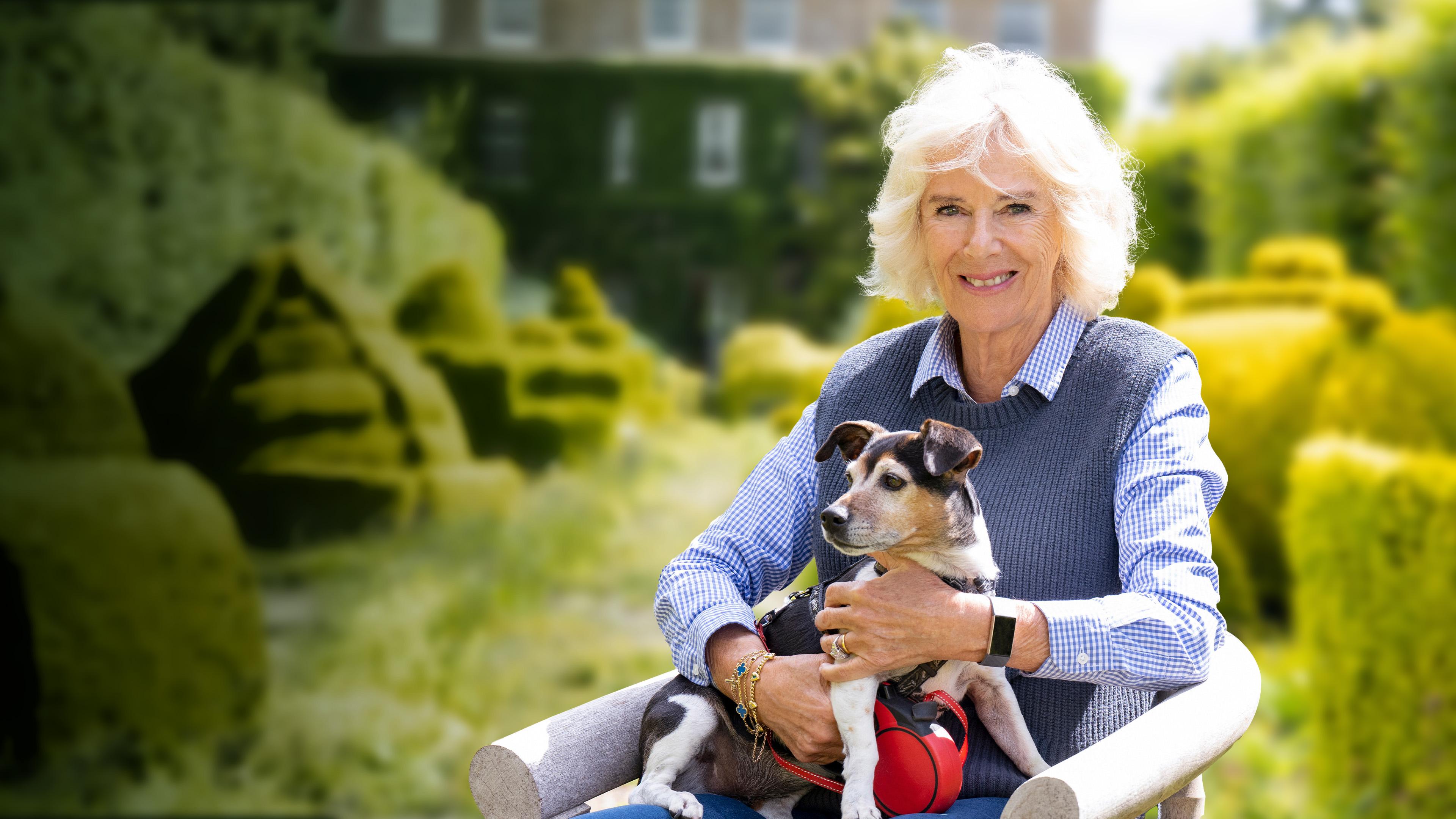 Camilla: Glamour, Land und Leute