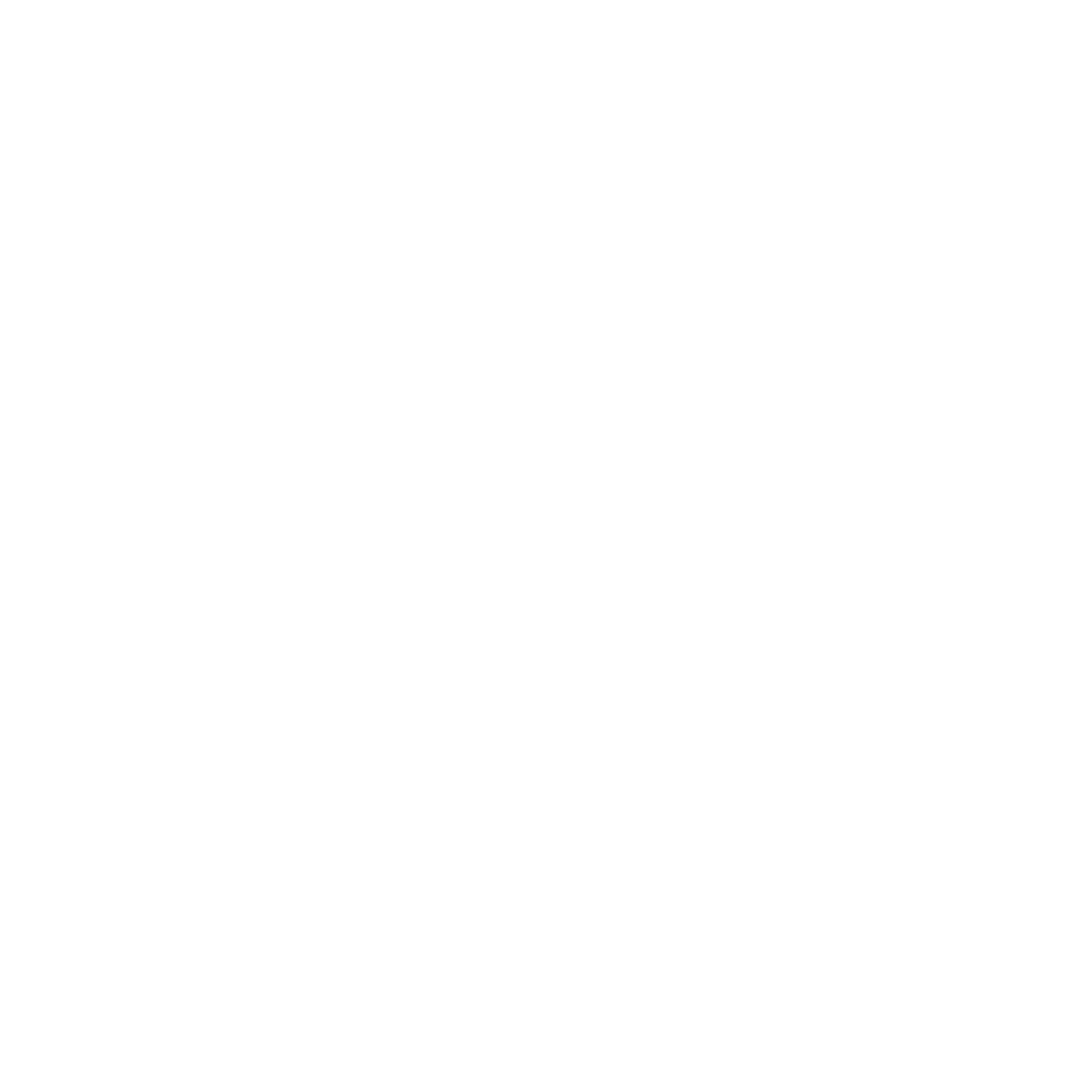 Ehrlich Brothers live!