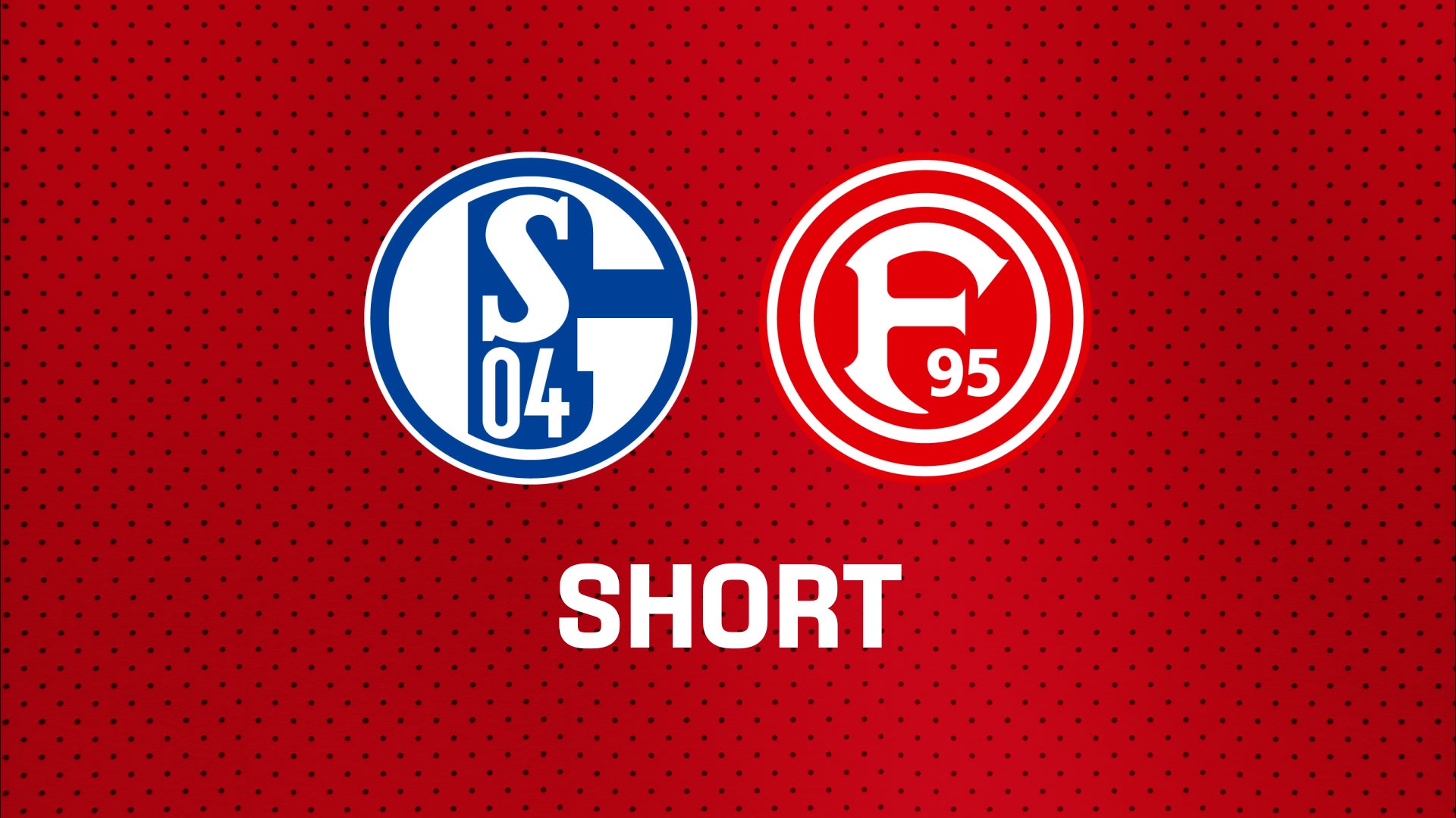 Karaman schießt Schalke zurück in die Bundesliga!