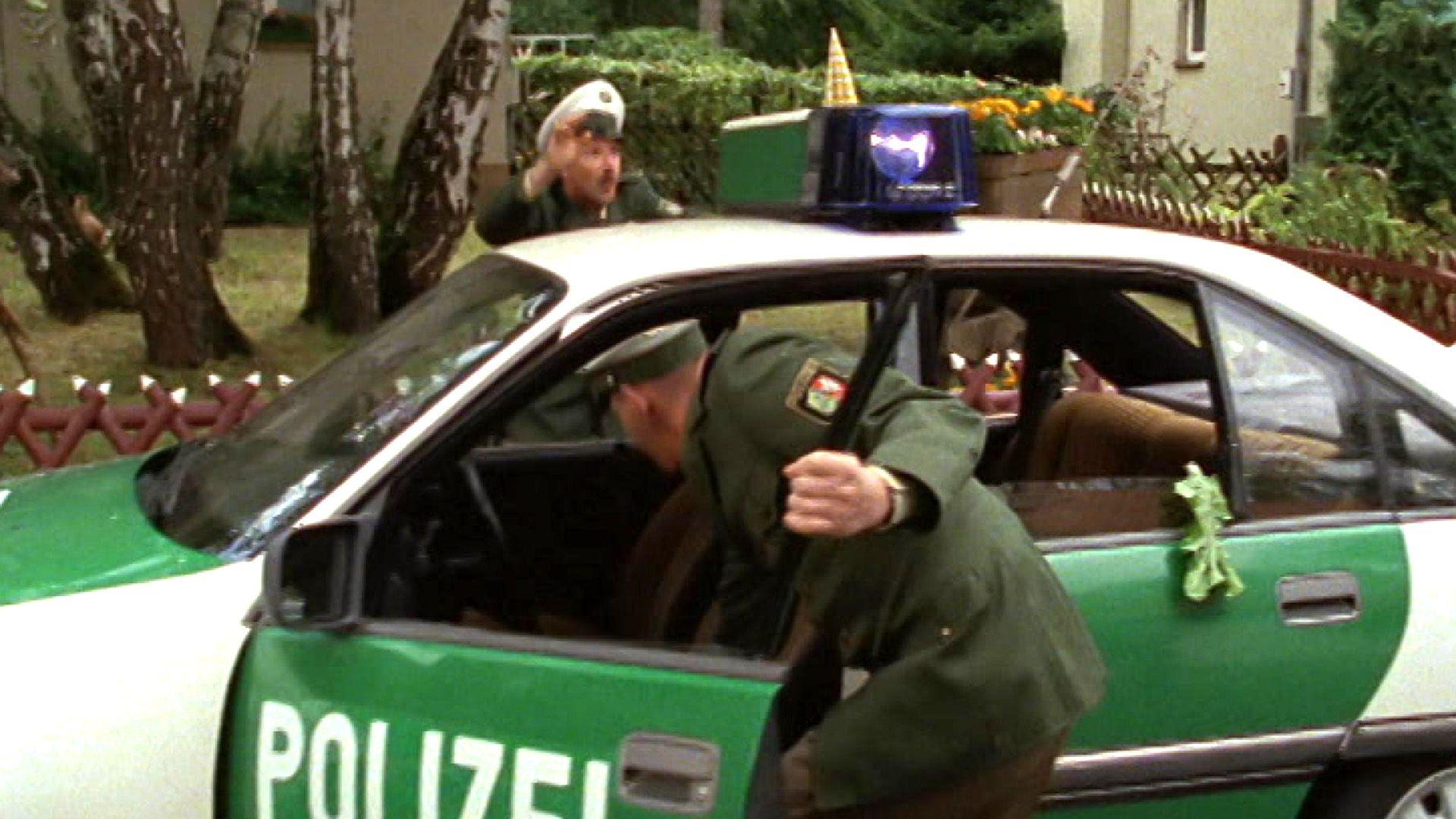 Giftzwerge