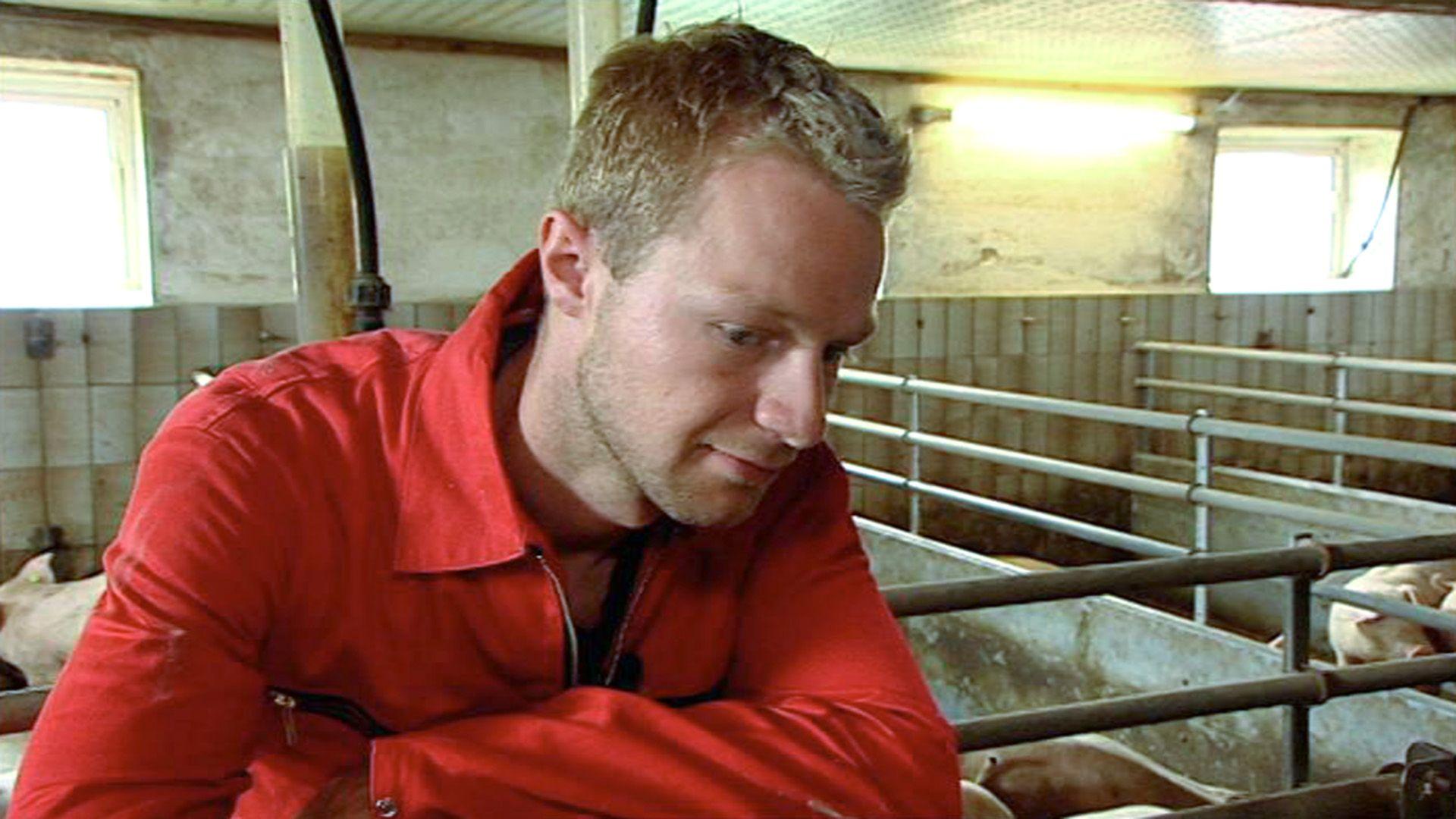 Erste Probleme auf dem Bauernhof