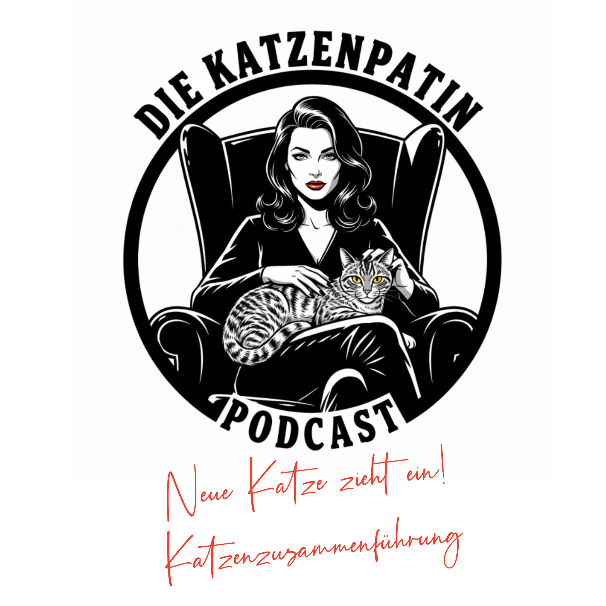 Neue Katze zieht ein! Katzenzusammenführung