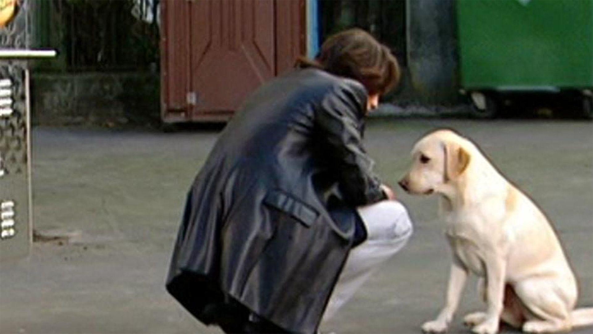 Maltes Hund scheint ihm ständig Ärger einzubringen