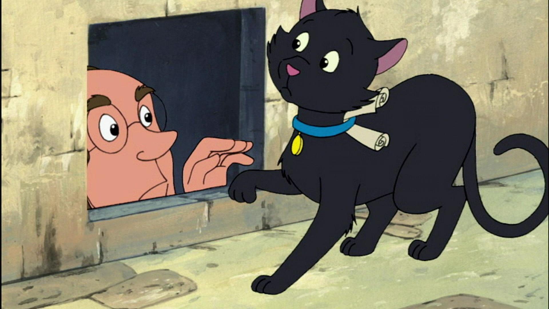 Der schwarze Kater