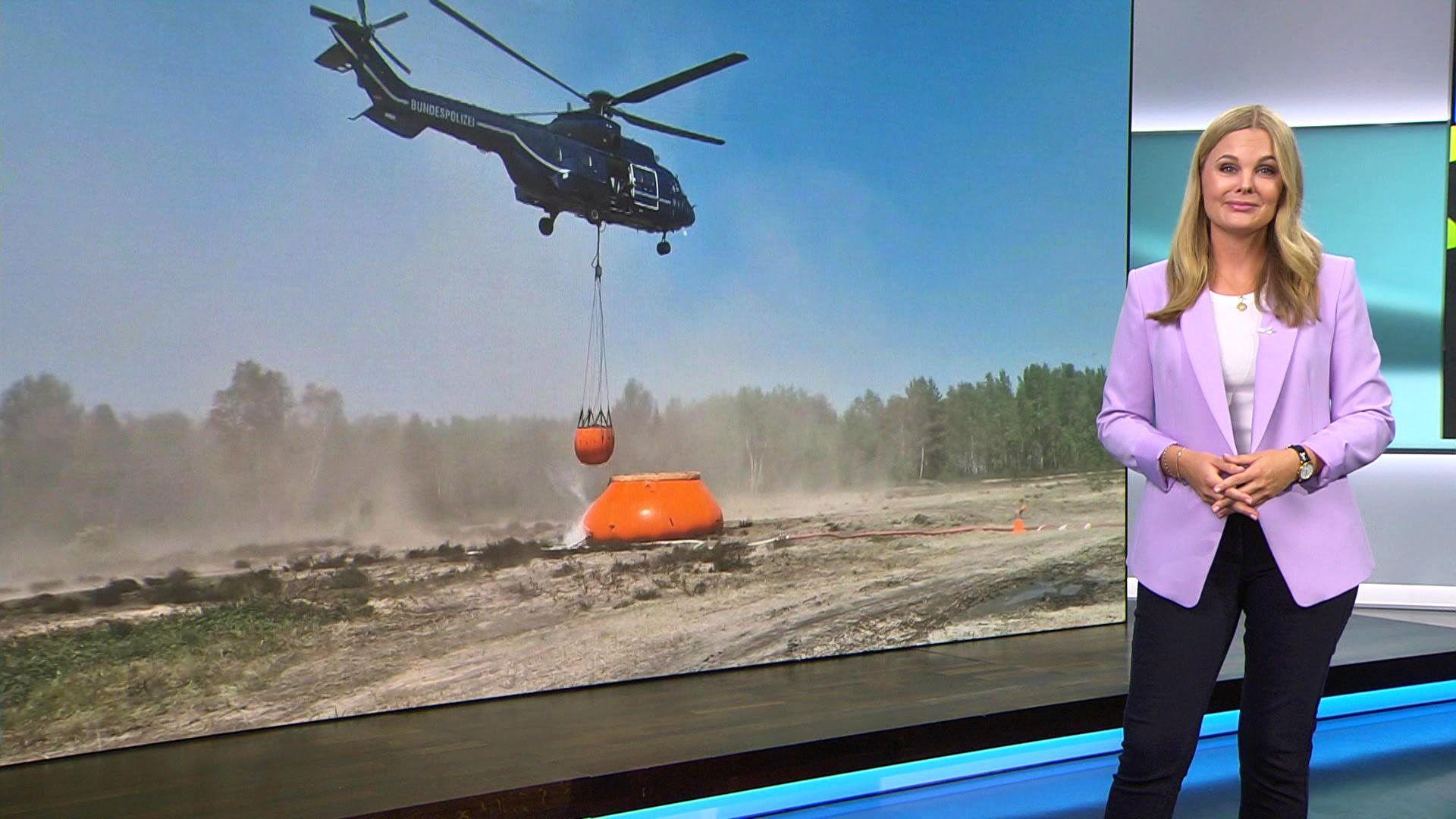 Thema u. a.: Waldbrandalarm - Startups mit  innovativer Technik