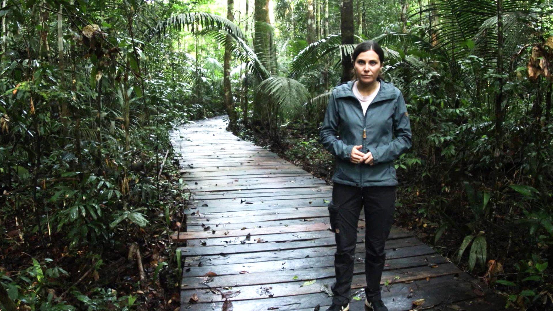 Amazonas