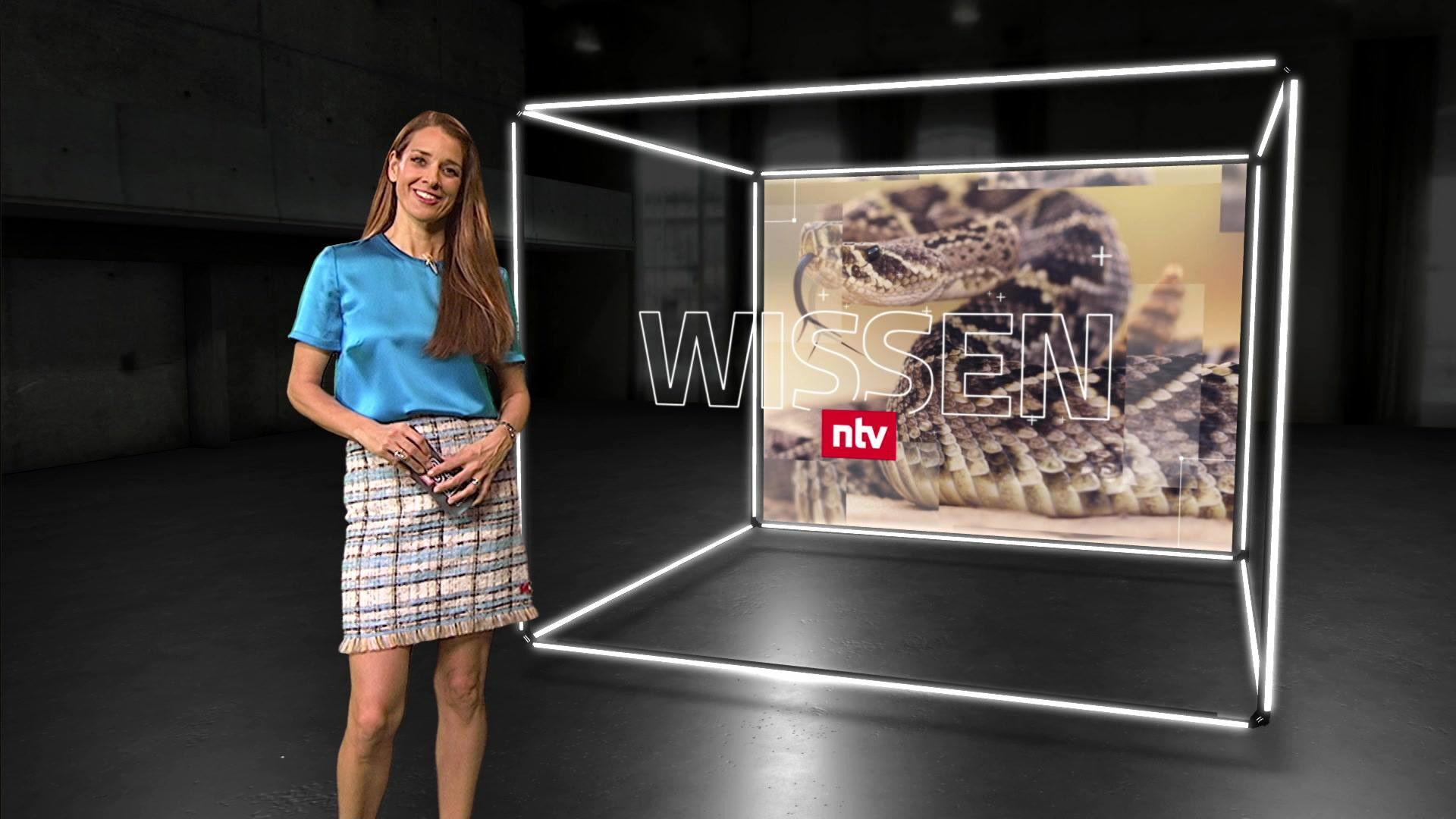 Thema u. a.: Würstchen aus Klapperschlangen