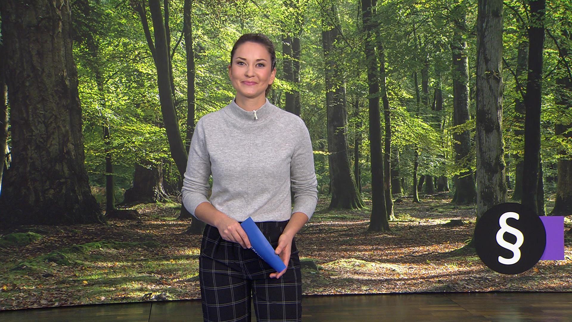Thema u. a.: Überlaufene Wälder - In Naturparks drohen Bußgelder