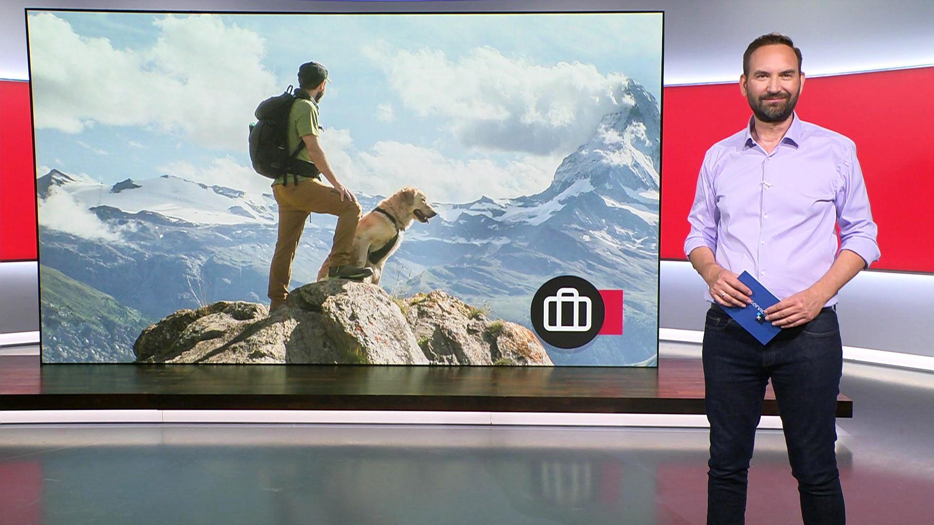 Thema u. a.: Verreisen mit dem Hund - die besten Tipps