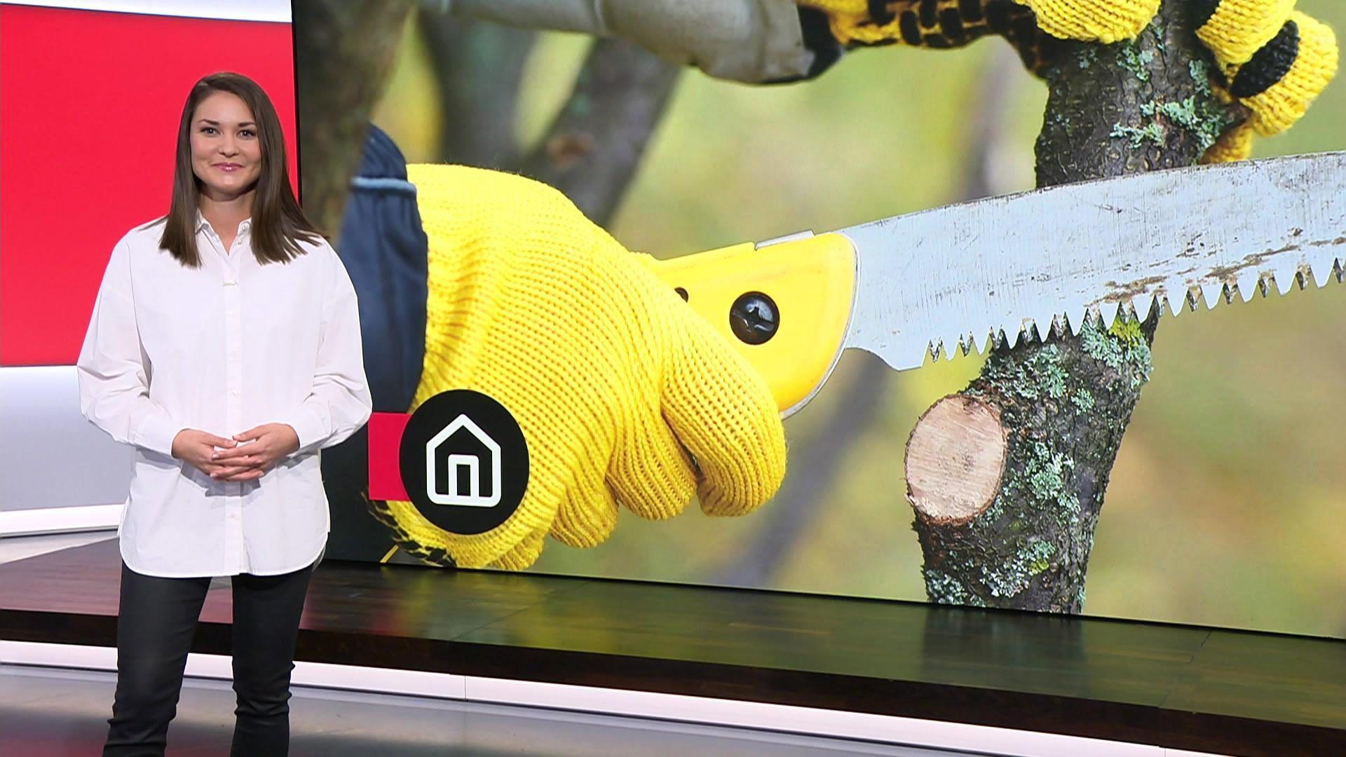 Thema u.a.: Gut durch den Frost - So machen Sie Ihren Garten winterfest