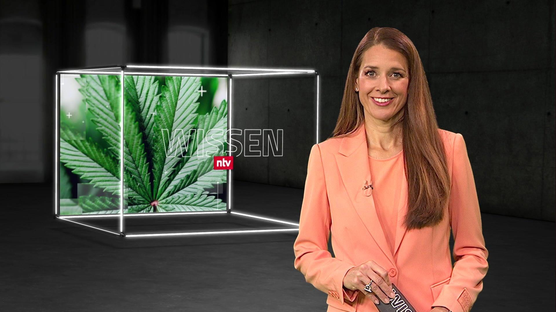 Thema u. a.: Plötzlich Legal - Marihuana