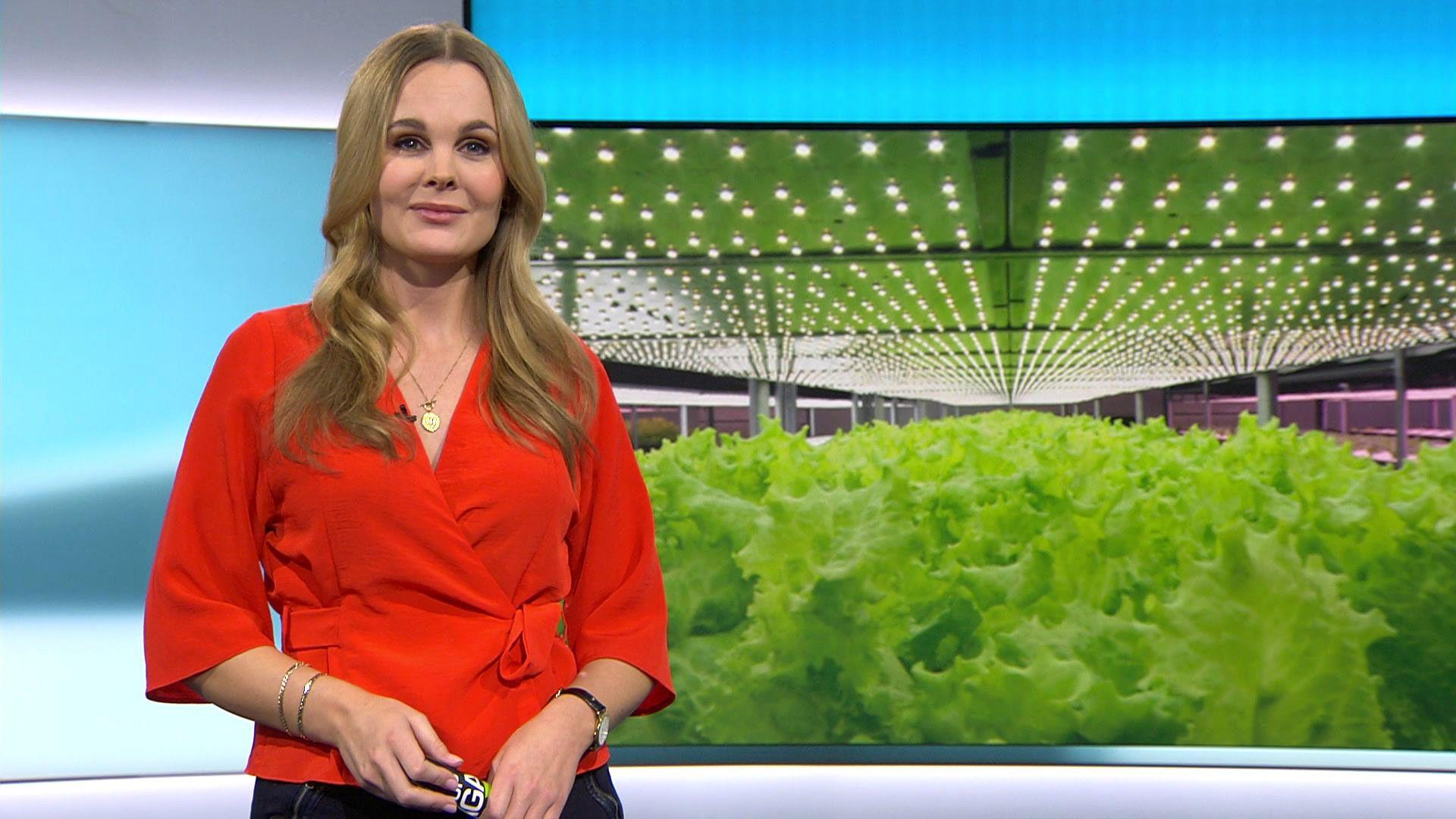 Thema u. a.: Vertical Farming - Das Zukunftskonzept der Landwirtschaft?!
