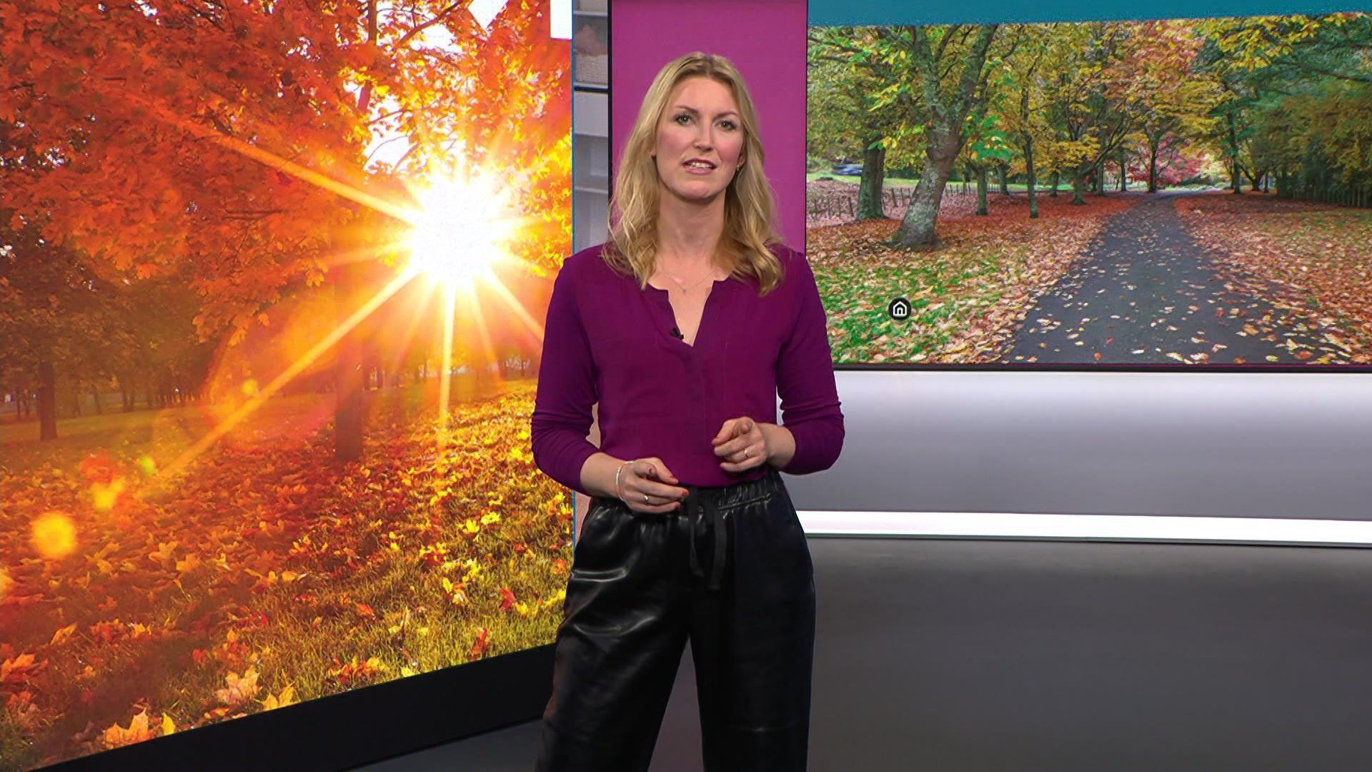 Thema u.a.: Gärtner-Tipps für den Herbst