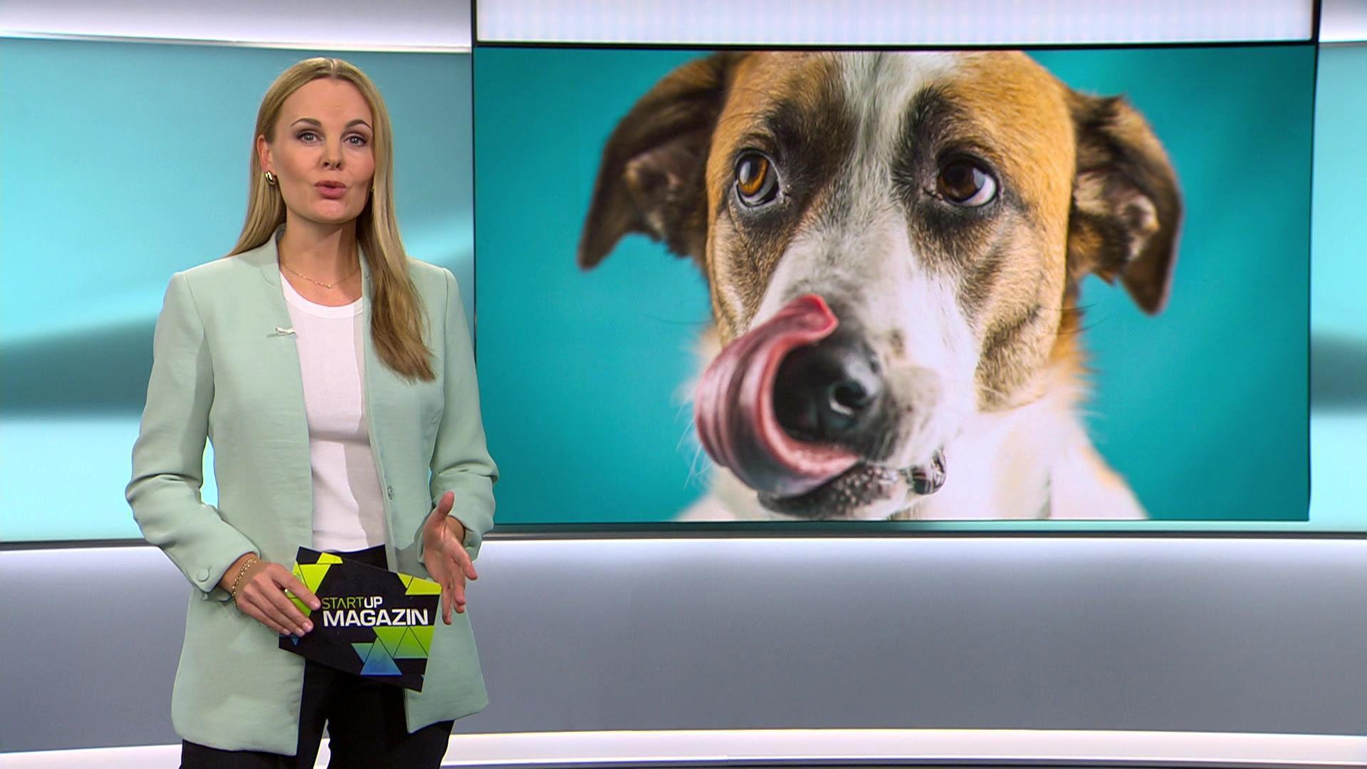 Thema u.a.: Tiere