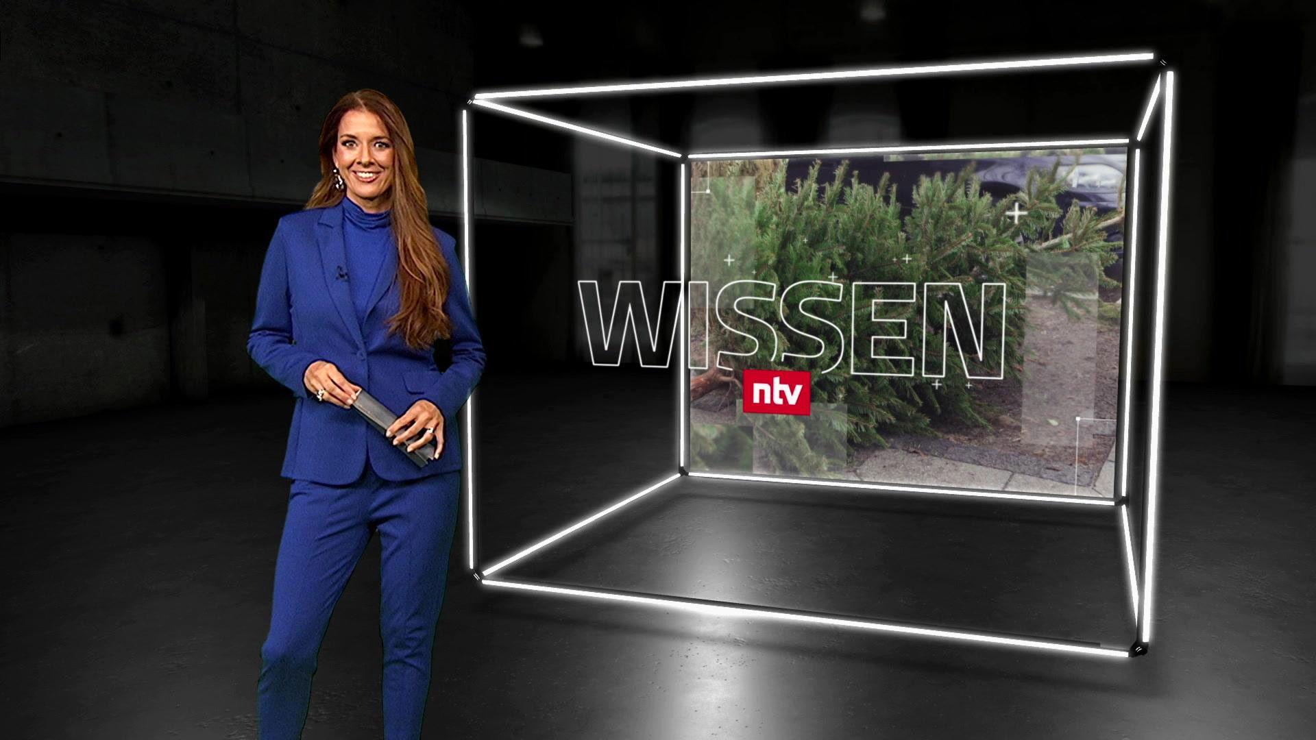 Thema u. a.: Der Weg des alten Weihnachtsbaums