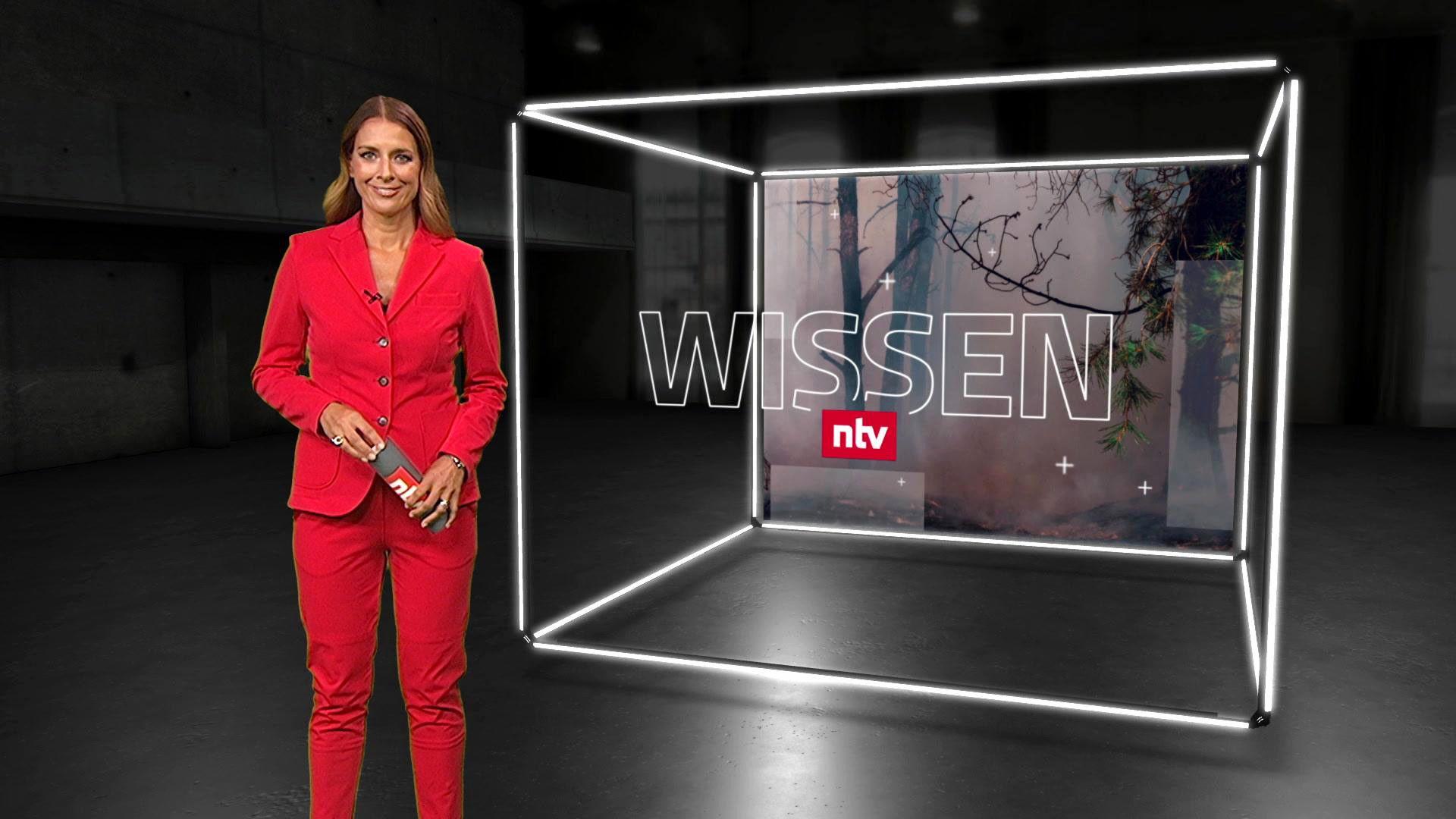 Thema u. a.: Baumaterial im Härtetest