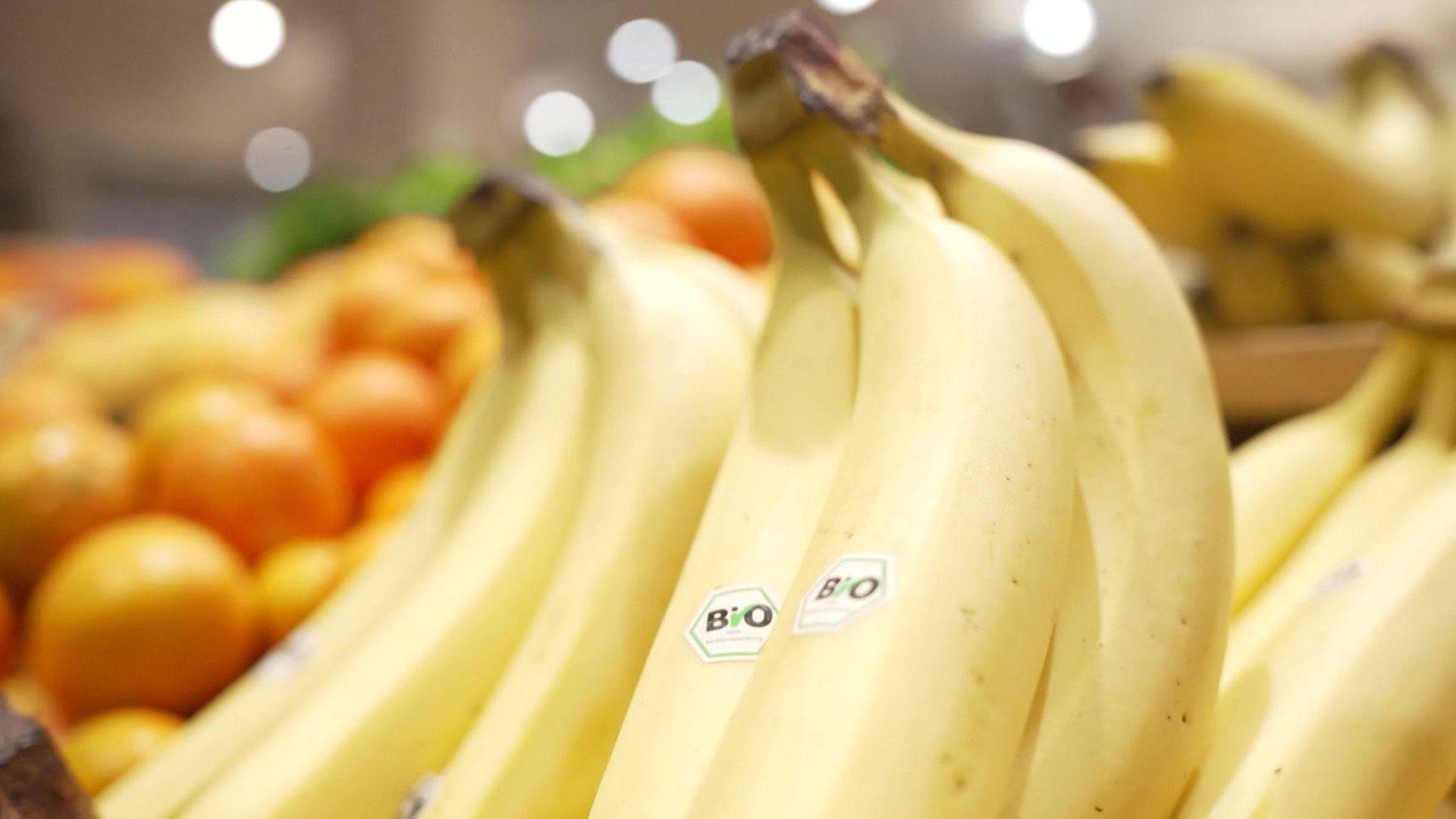 Sinnvolle Bioprodukte und Pfannen im Vergleich.