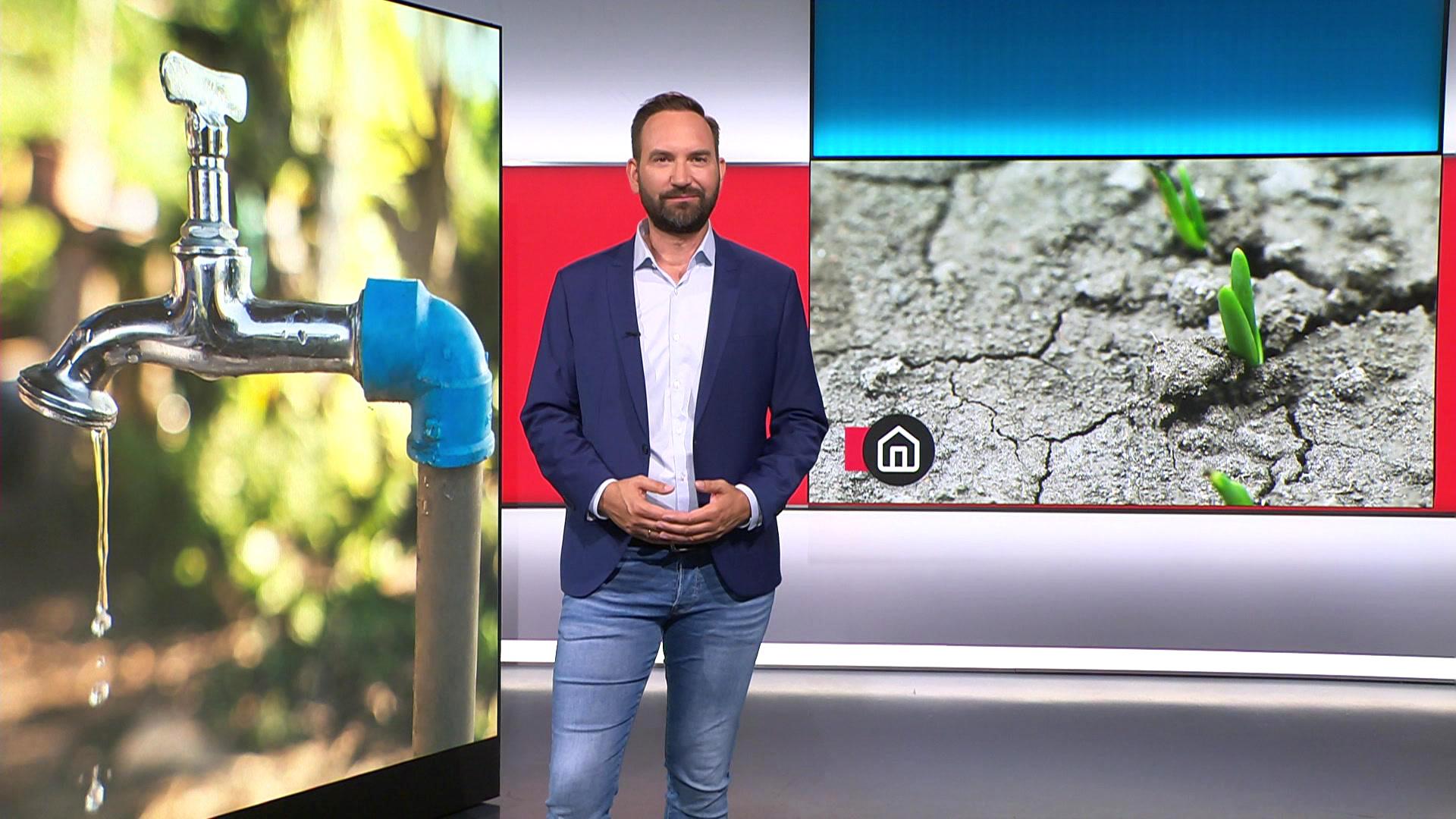 Thema u. a.: So entsteht ein hitzeresistenter Garten