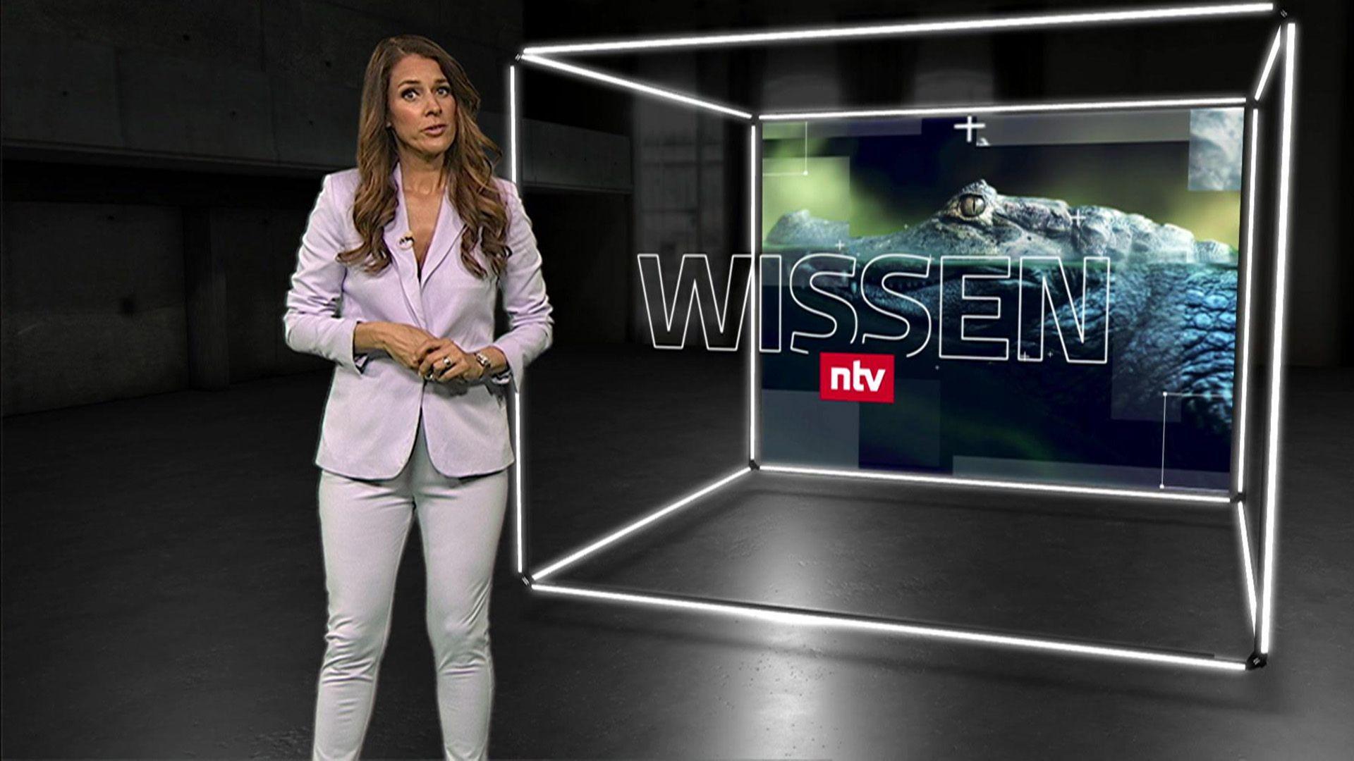 Themen u.a.: Alligatorenjagd - mit dem Boot durch Floridas Nacht