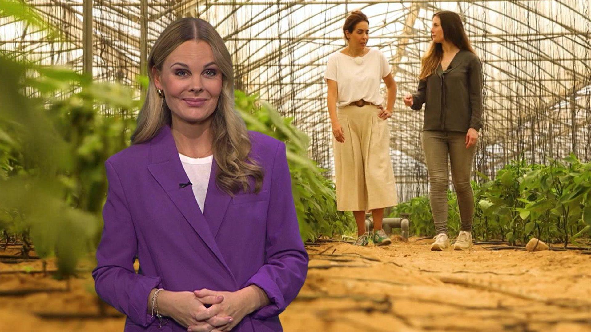 Thema: Startups in Dubai