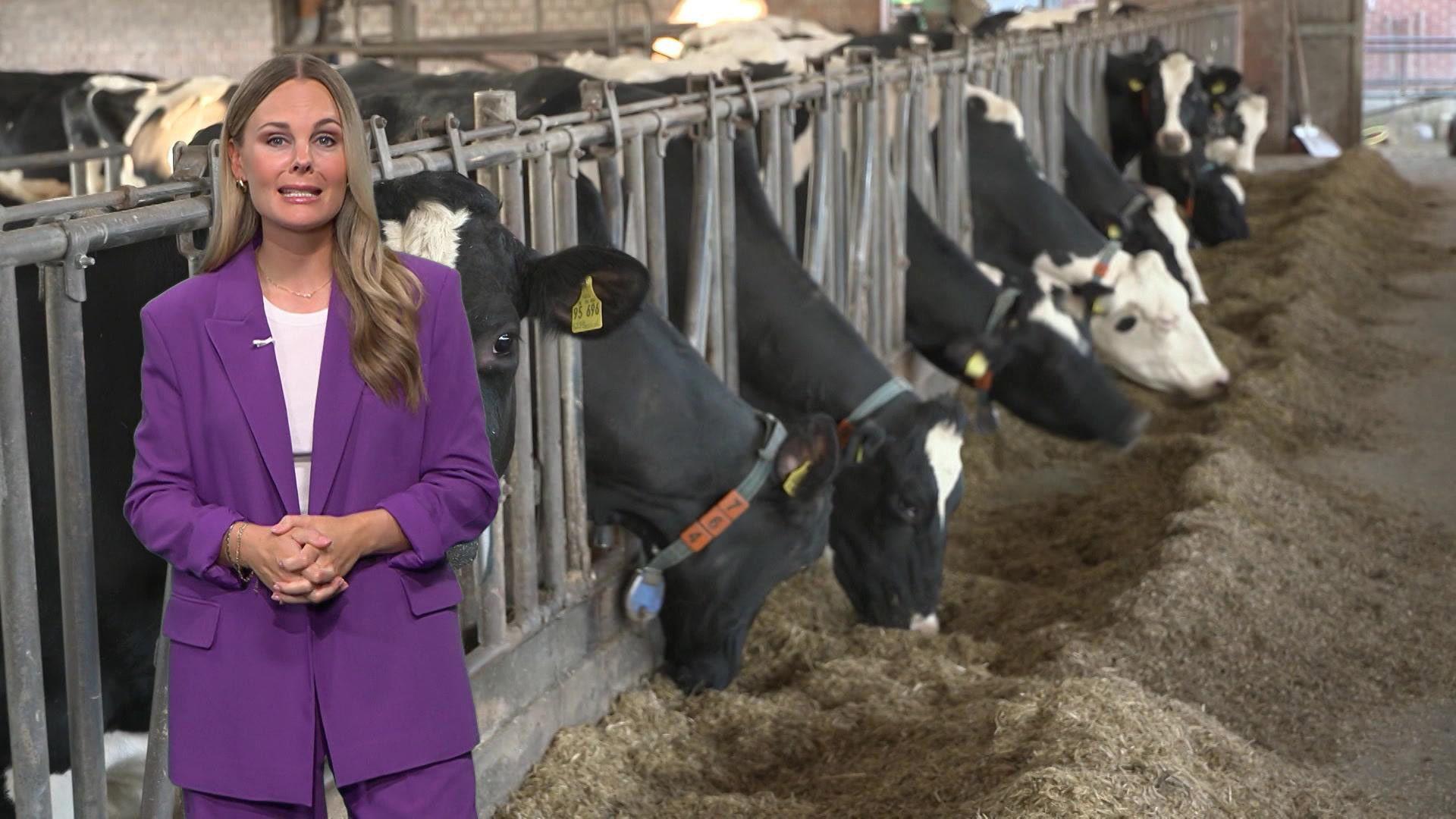 Thema u.a.: Ein Startup produziert Milch ohne Kühe im Labor