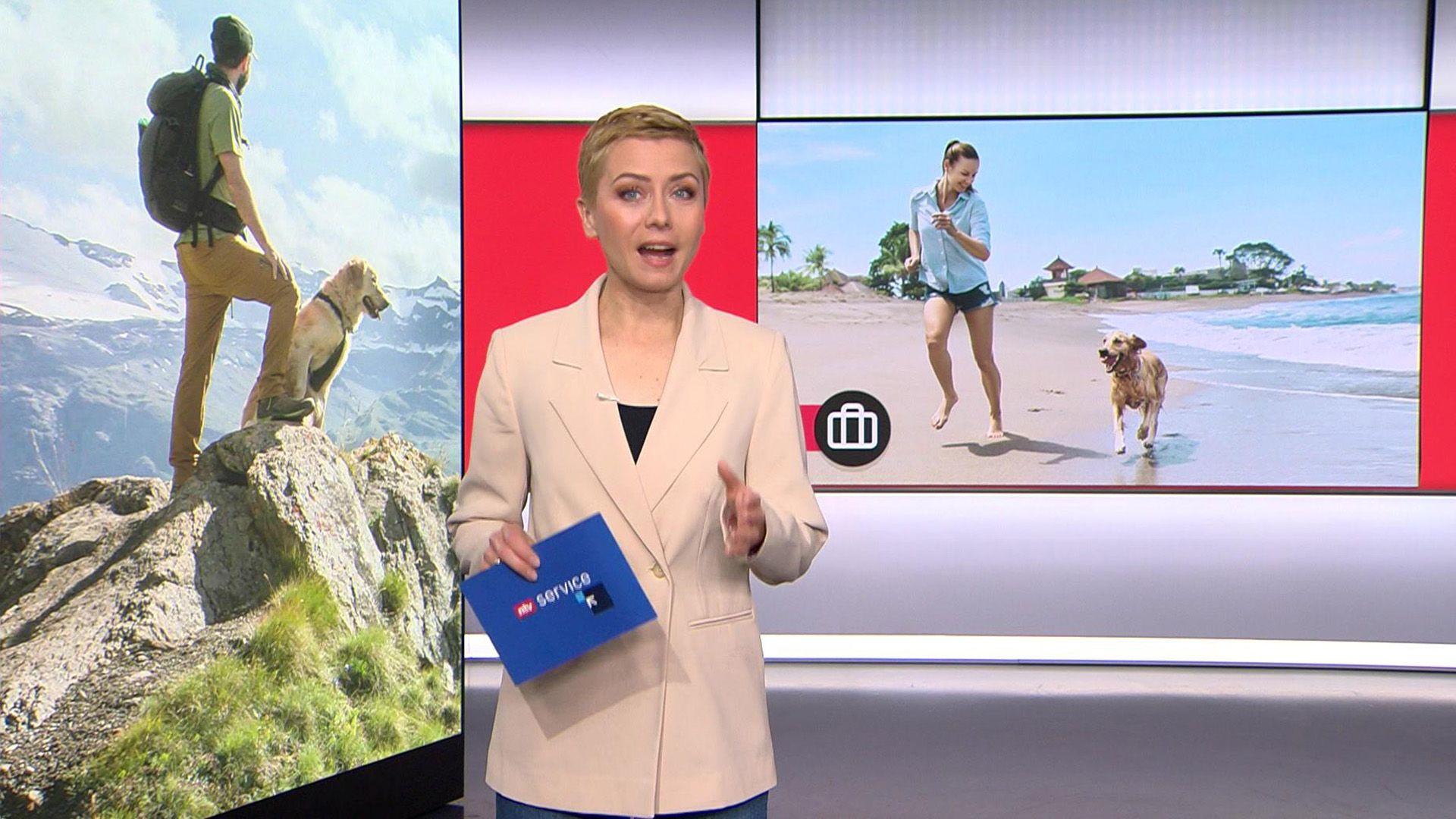 Themen u.a.: Urlaub mit Hund / Powernapping