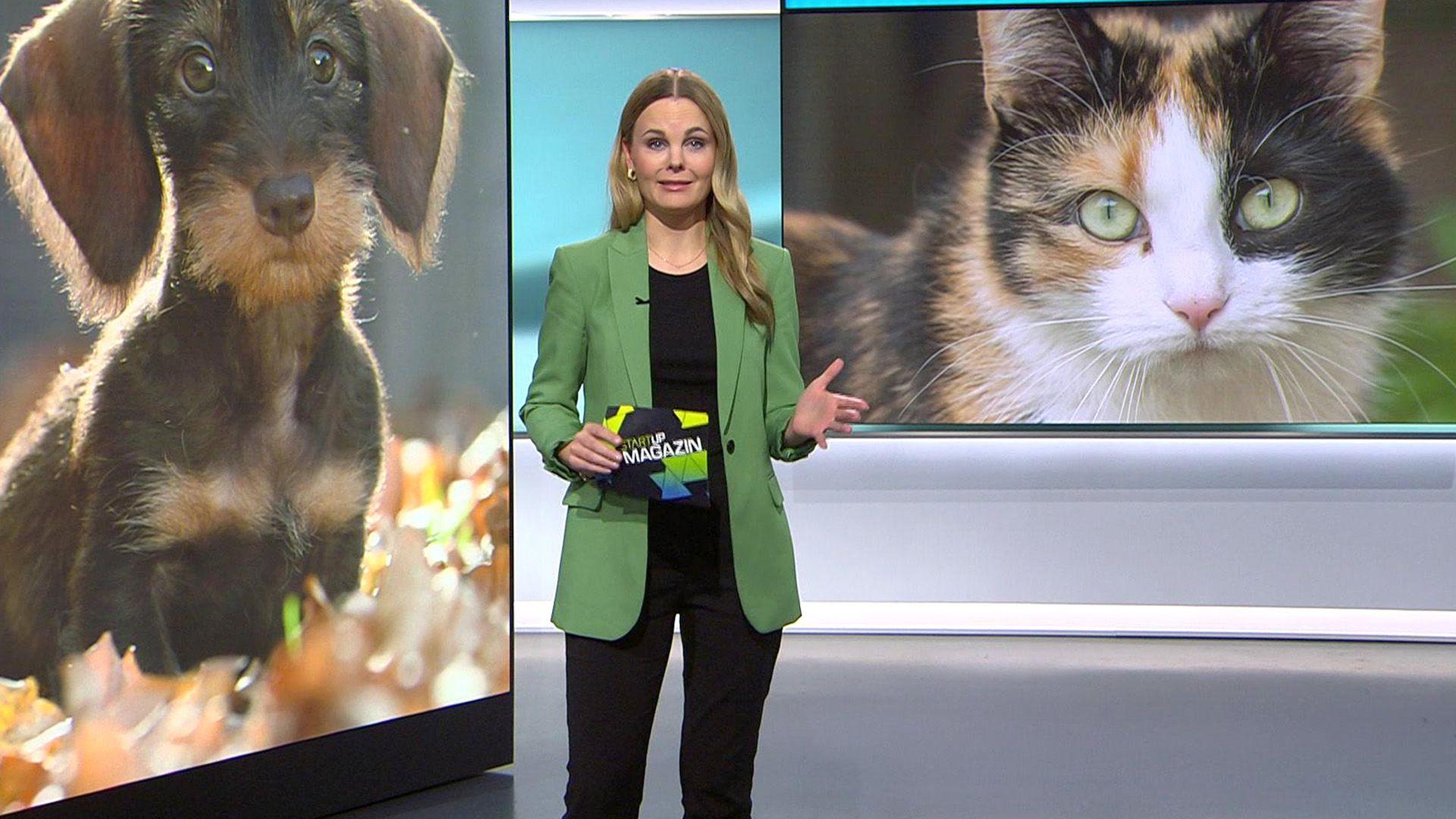 Thema u. a.: PetTechs - Wie Startups Tierarztpraxen digitalisieren