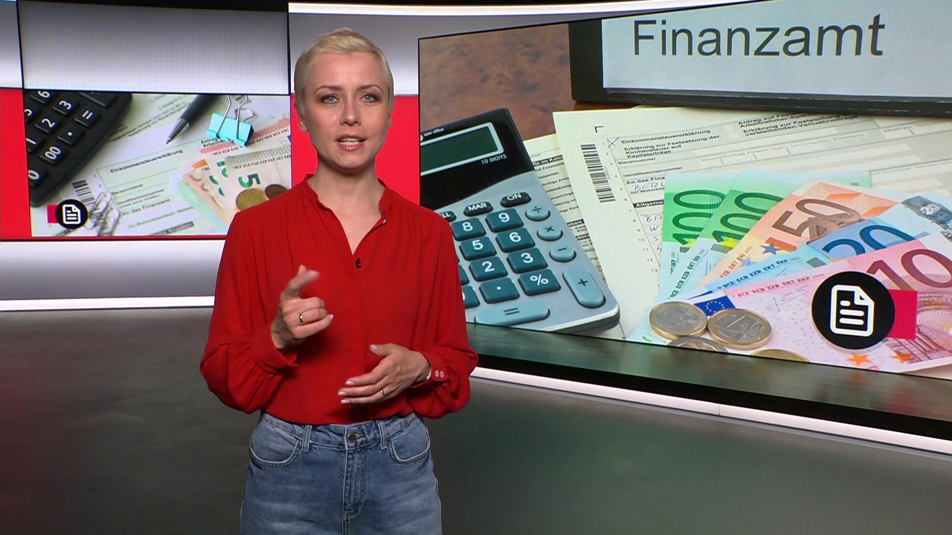 Themen: Steuererklärung 2024 / Vogelhäuser-Check