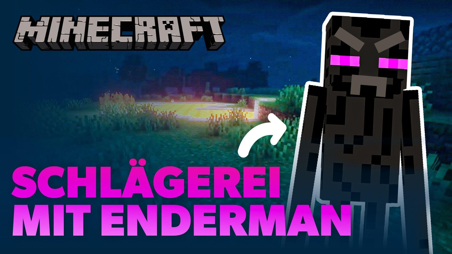 Enderman dreht ja mal völlig durch | Minecraft Folge 1