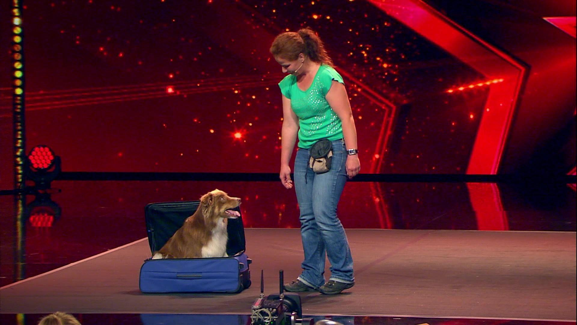 Australian Shepherd, Yoga-Lehrer, Zauberer & Space Cowboy