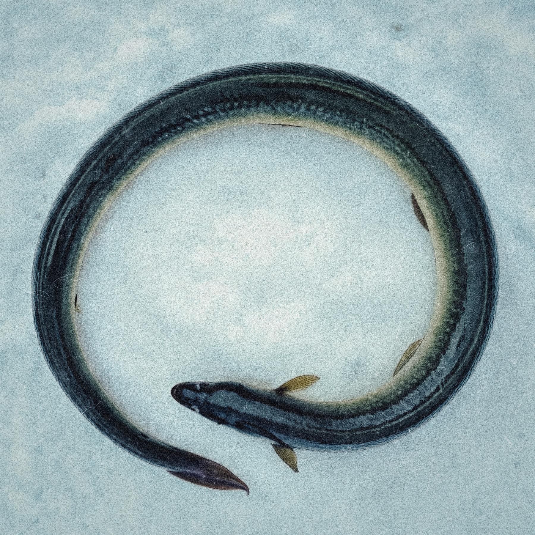 Die Hexe von Pendach (3/8): Schwarzer Schnee