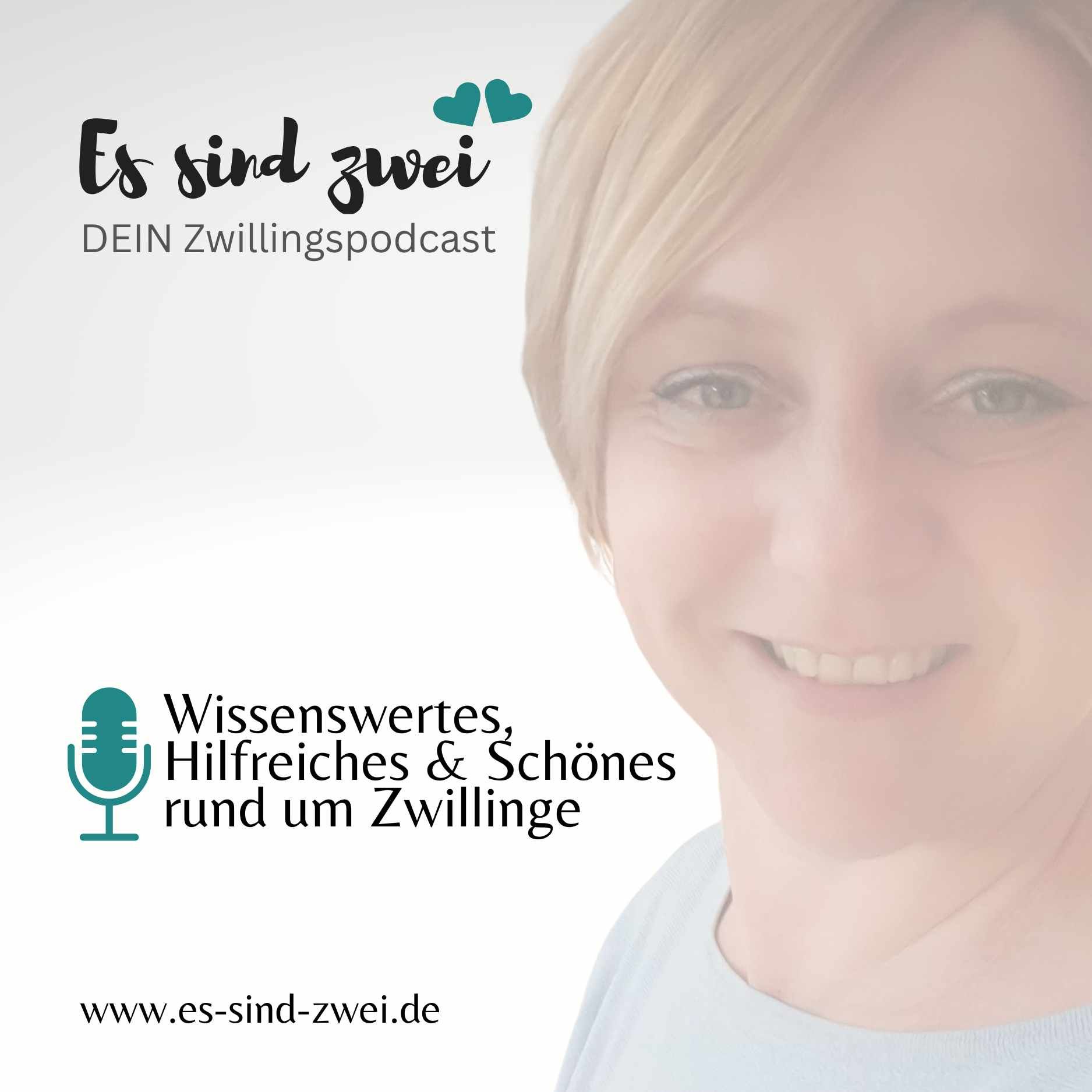 Stressempfinden von Zwillingsmüttern – Studie & persönliche Einblicke 4/11
