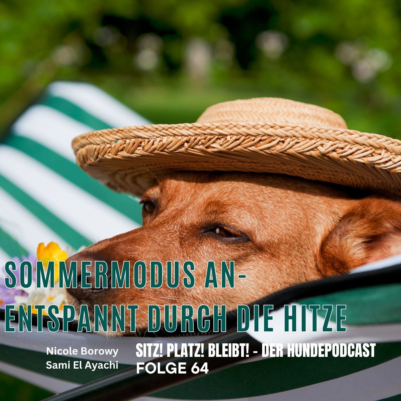 #64 Sommermodus an - entspannt durch die Hitze