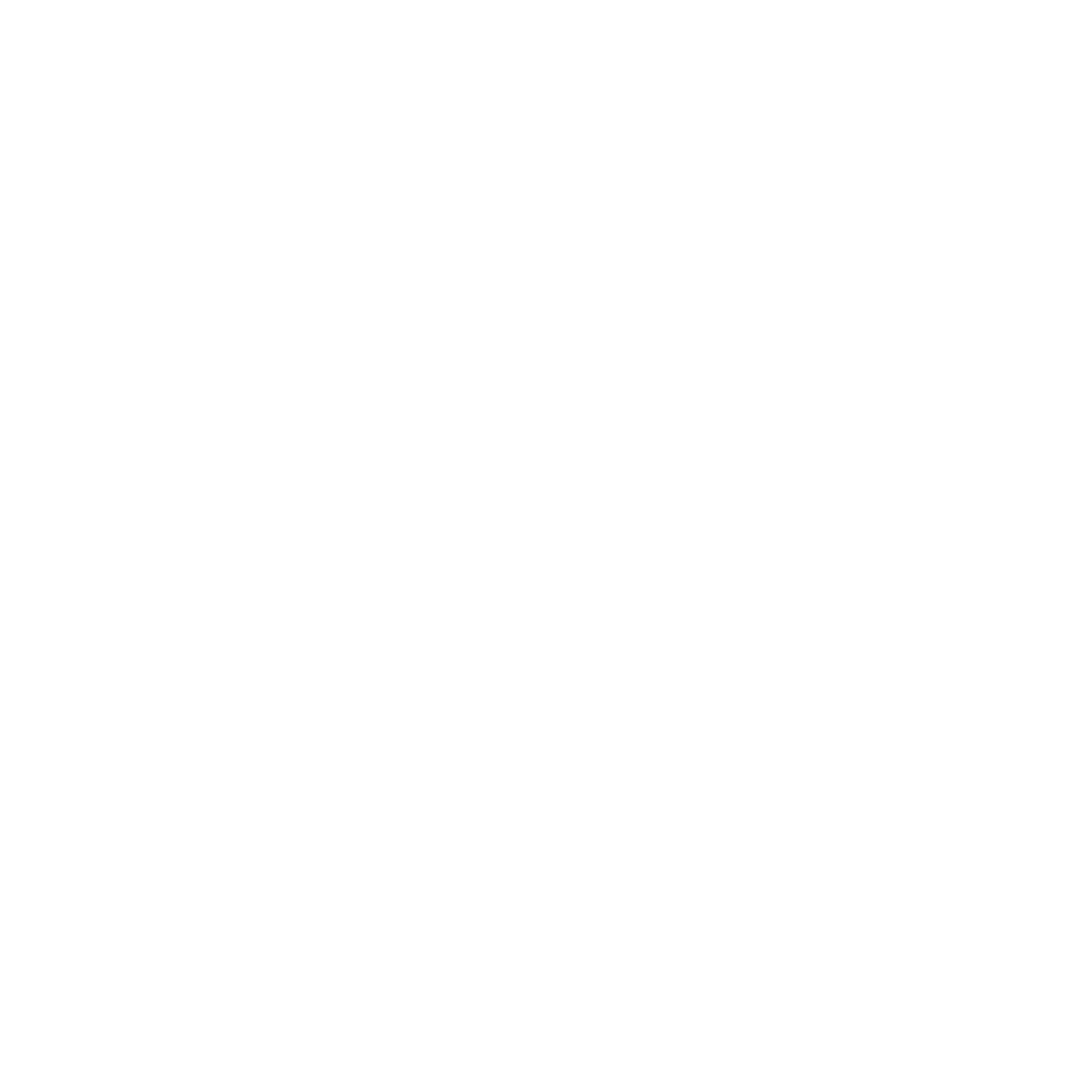 Hitlers Baumeister