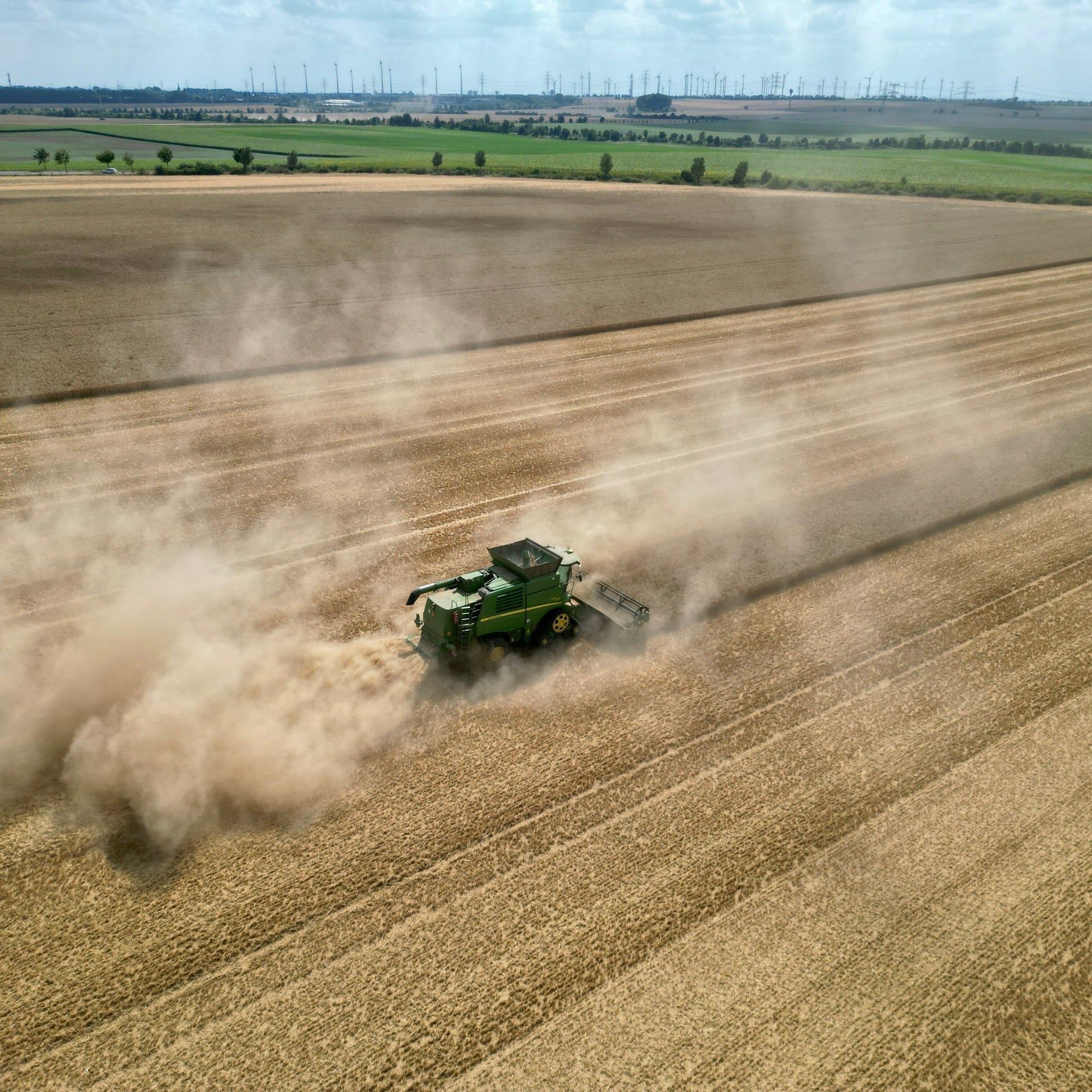Hitze, Trockenheit, warmer Wind: Getreideernte beginnt mit Sorge