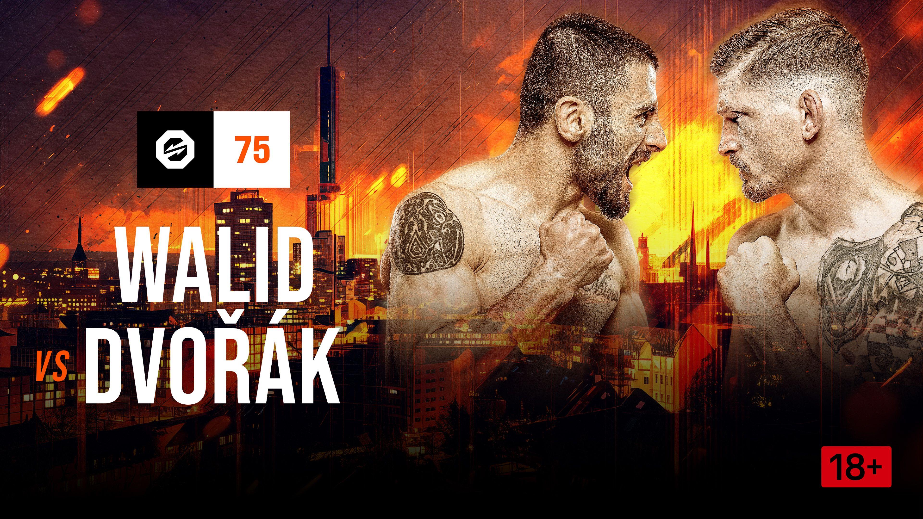 Mohammed Walid vs. David Dvorák