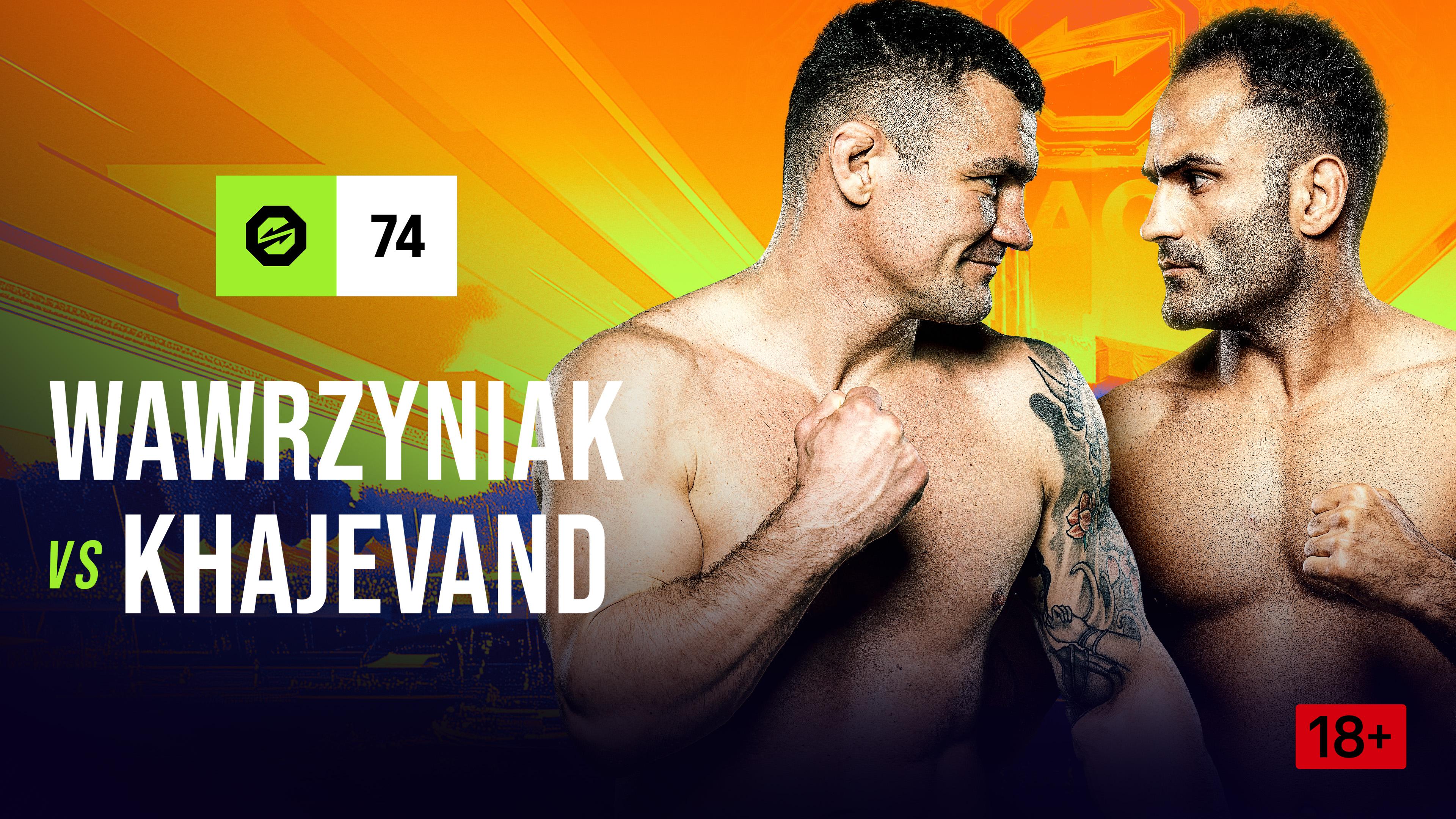 Piotr Wawrzyniak vs. Hojat Khajevand