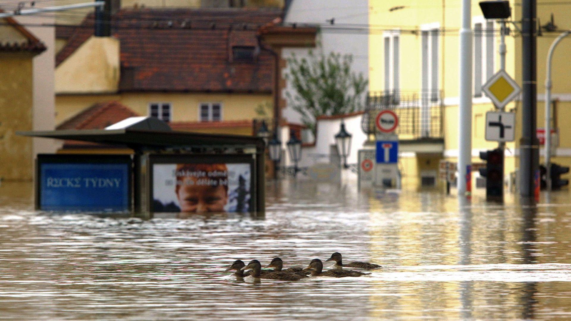 Phänomen Hochwasser