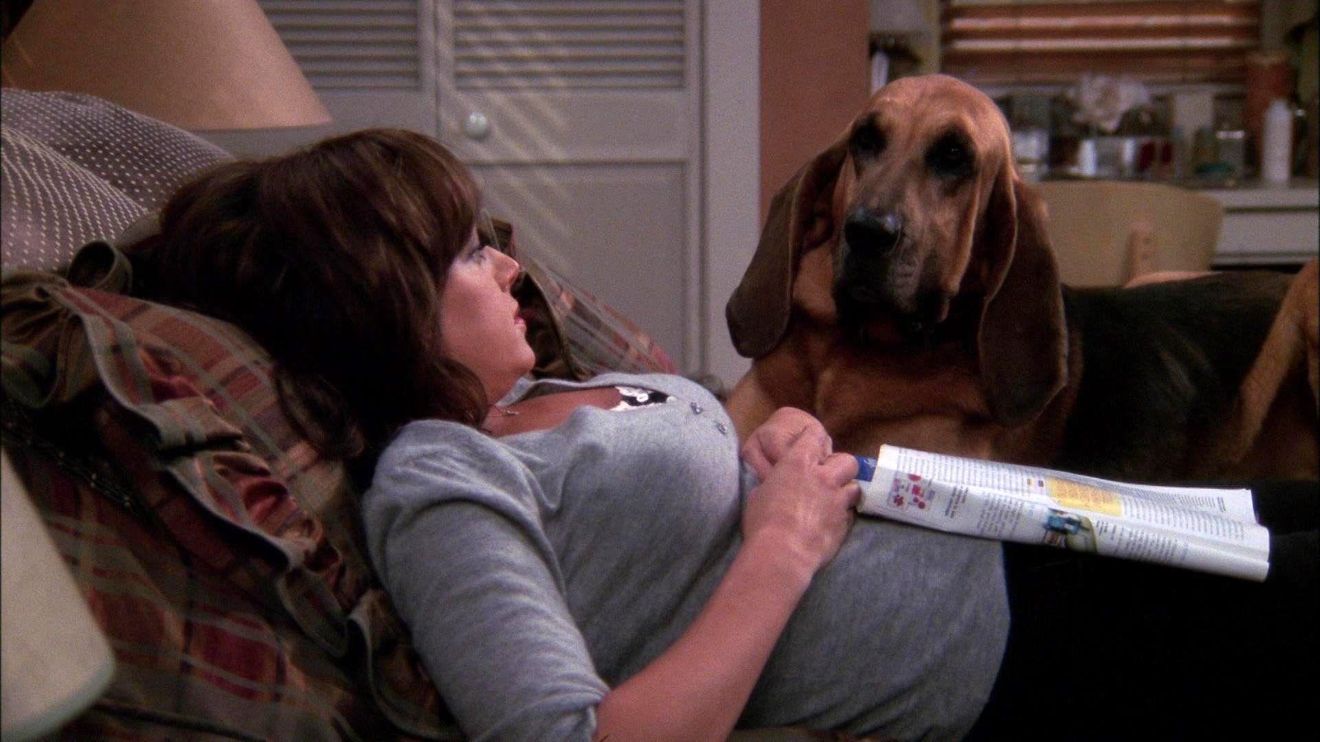 Hund zu verschenken