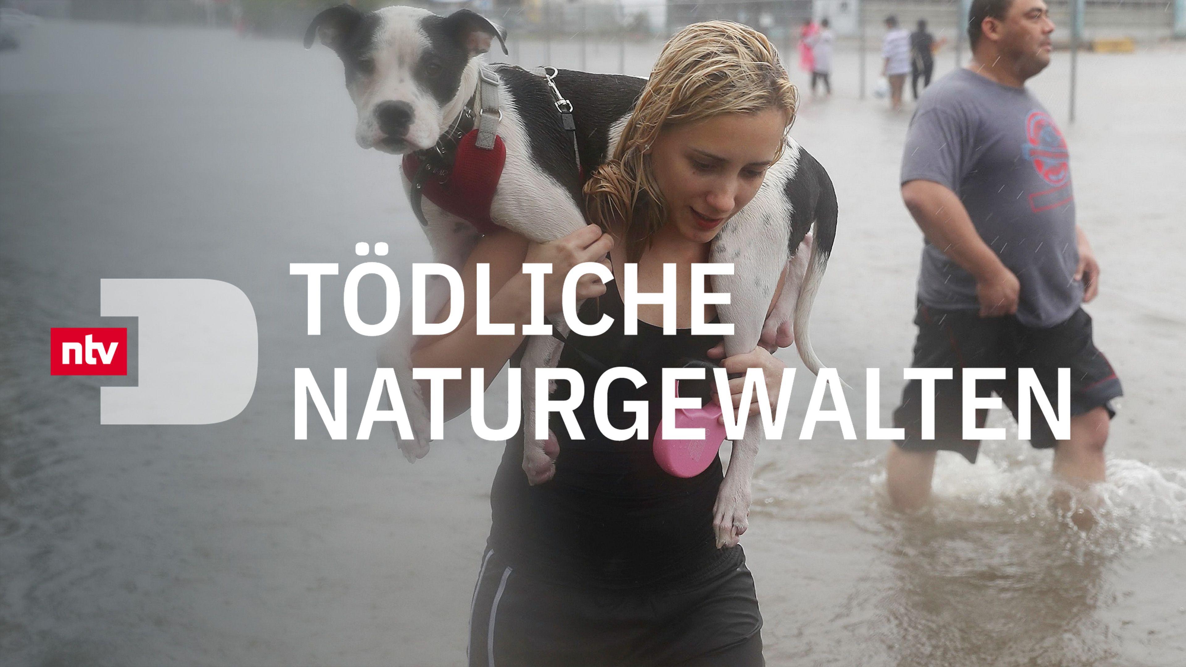 Tödliche Naturgewalten