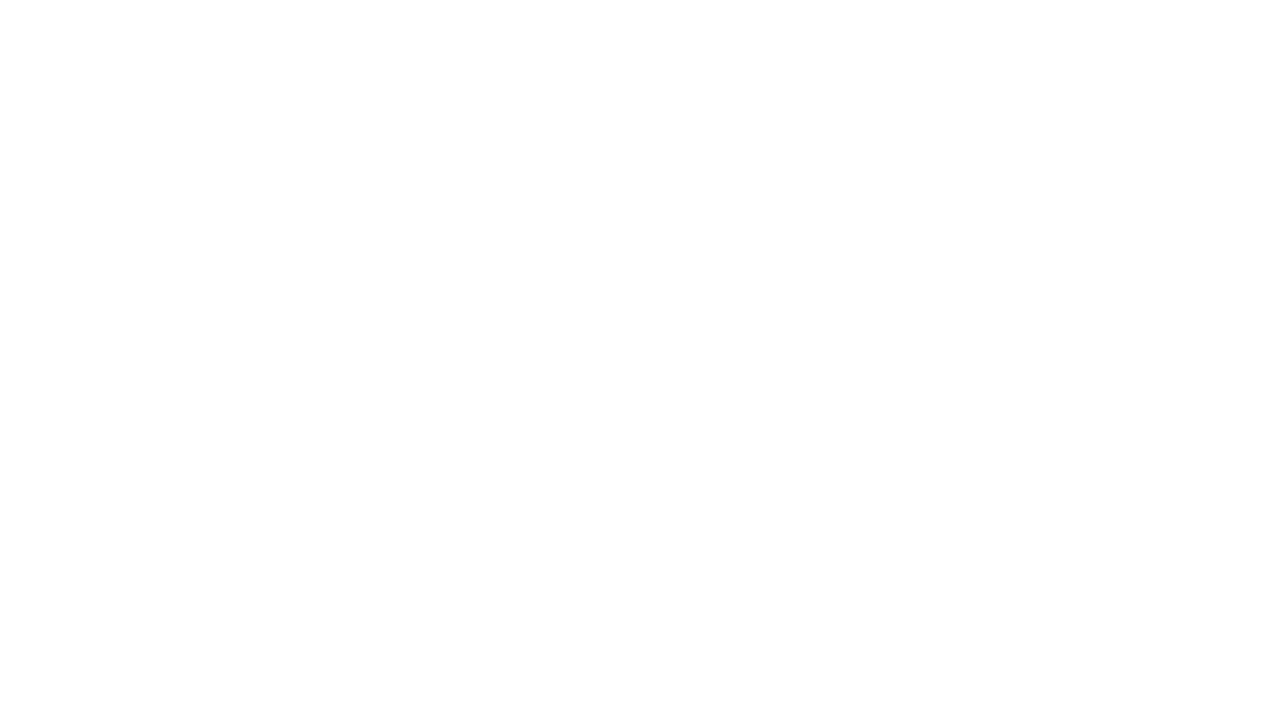 Duell der Brüder - Die Geschichte von Adidas und Puma