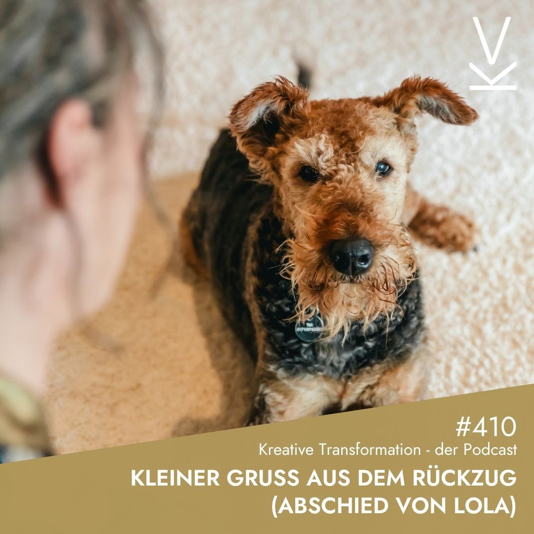 #410 Kleiner Gruß aus dem Rückzug (Abschied von Lola)
