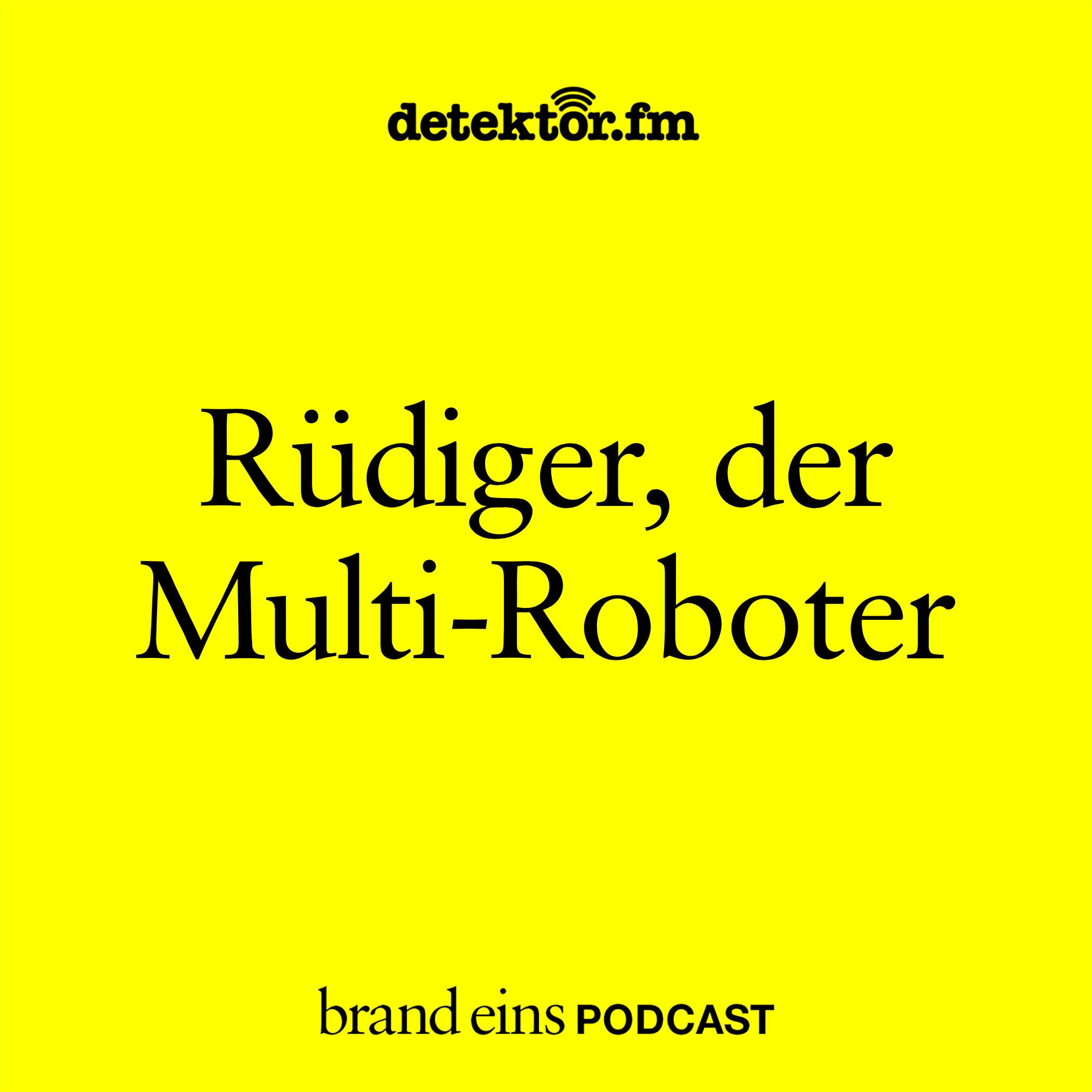 Rüdiger, der Multi-Roboter